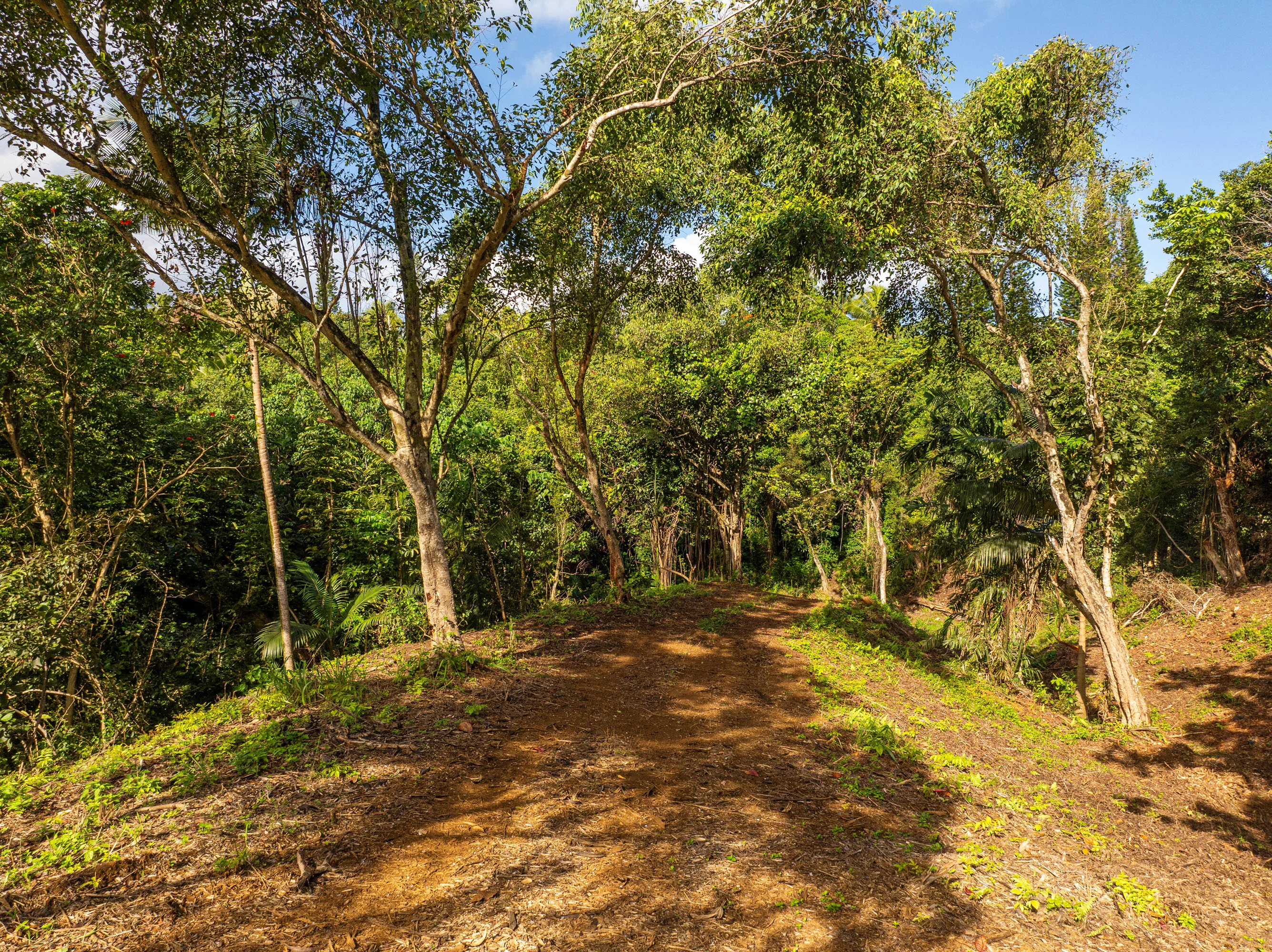3 Kaui Road, Princeville, North Shore Kauai, Hawaii 96722 - 3_Kaui_Rd_09_zwcxt2