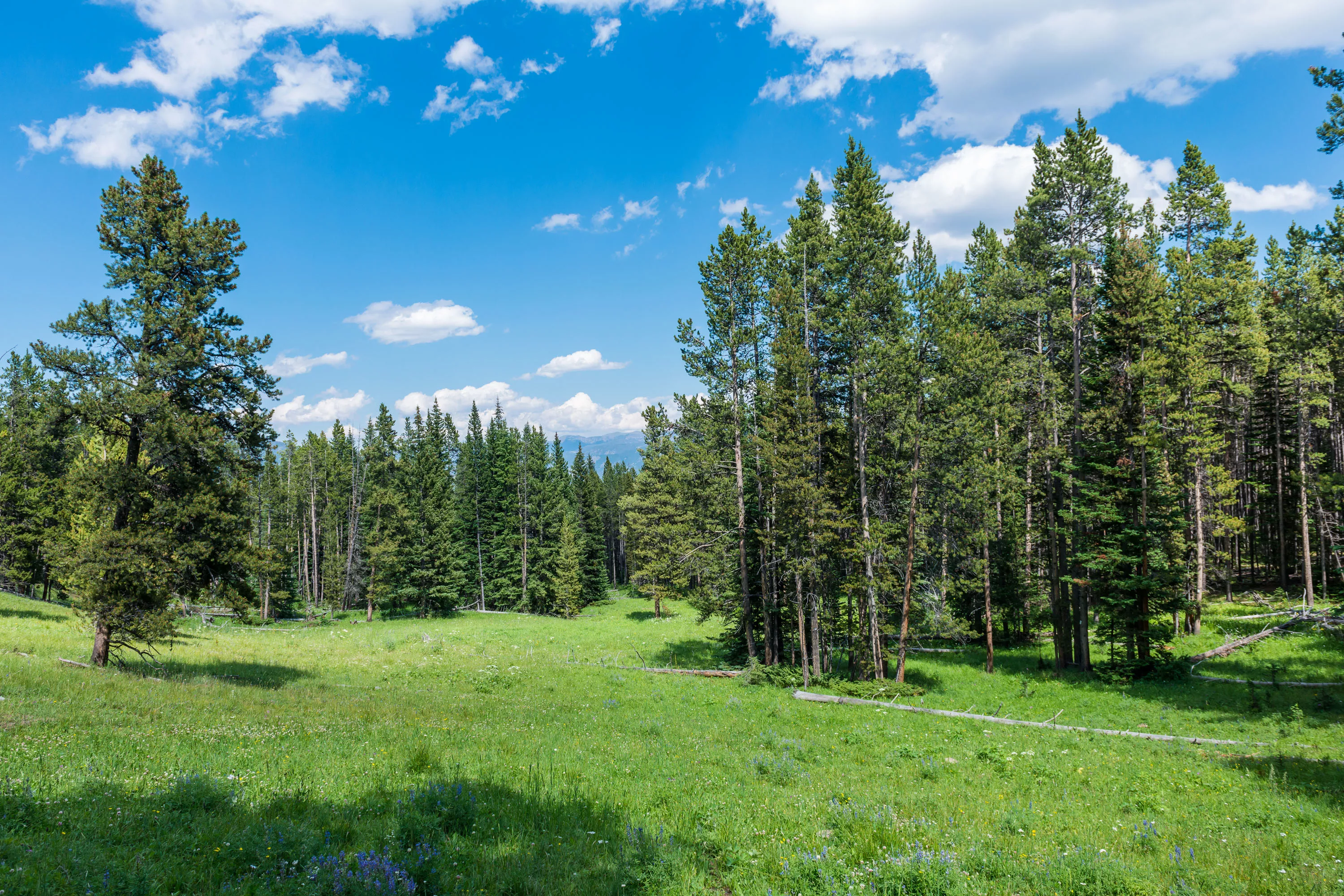 Yellowstone Preserve, Big Sky, Montana  - yellowstone-preserve-big-sky-mt-travertine_01_hssiky