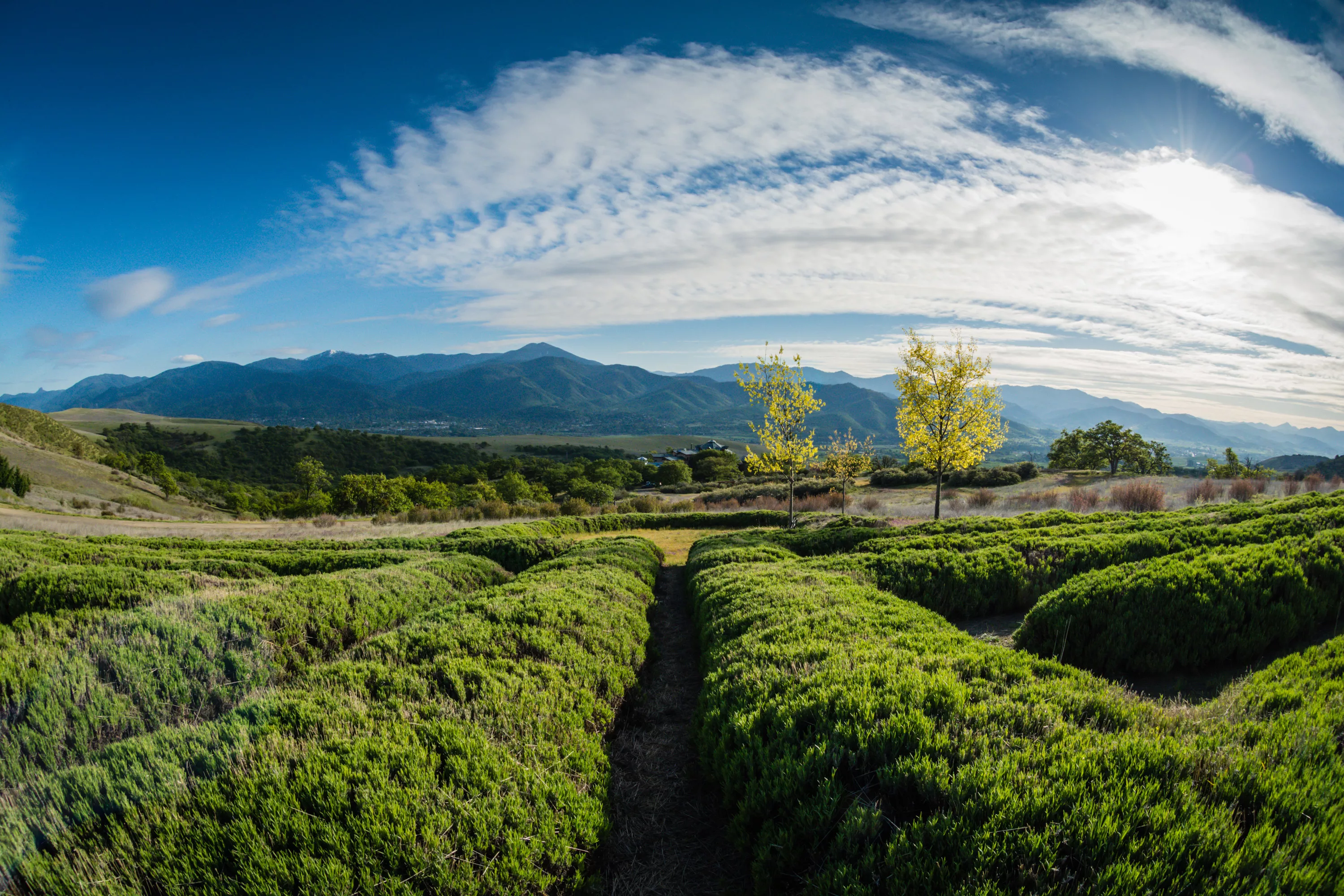3300 Butler Creek Road, Ashland, Oregon 97520 - circle-of-teran-3300-butler-creek-rd-ashland-or-luxury-real-estate-8_ucn0ug
