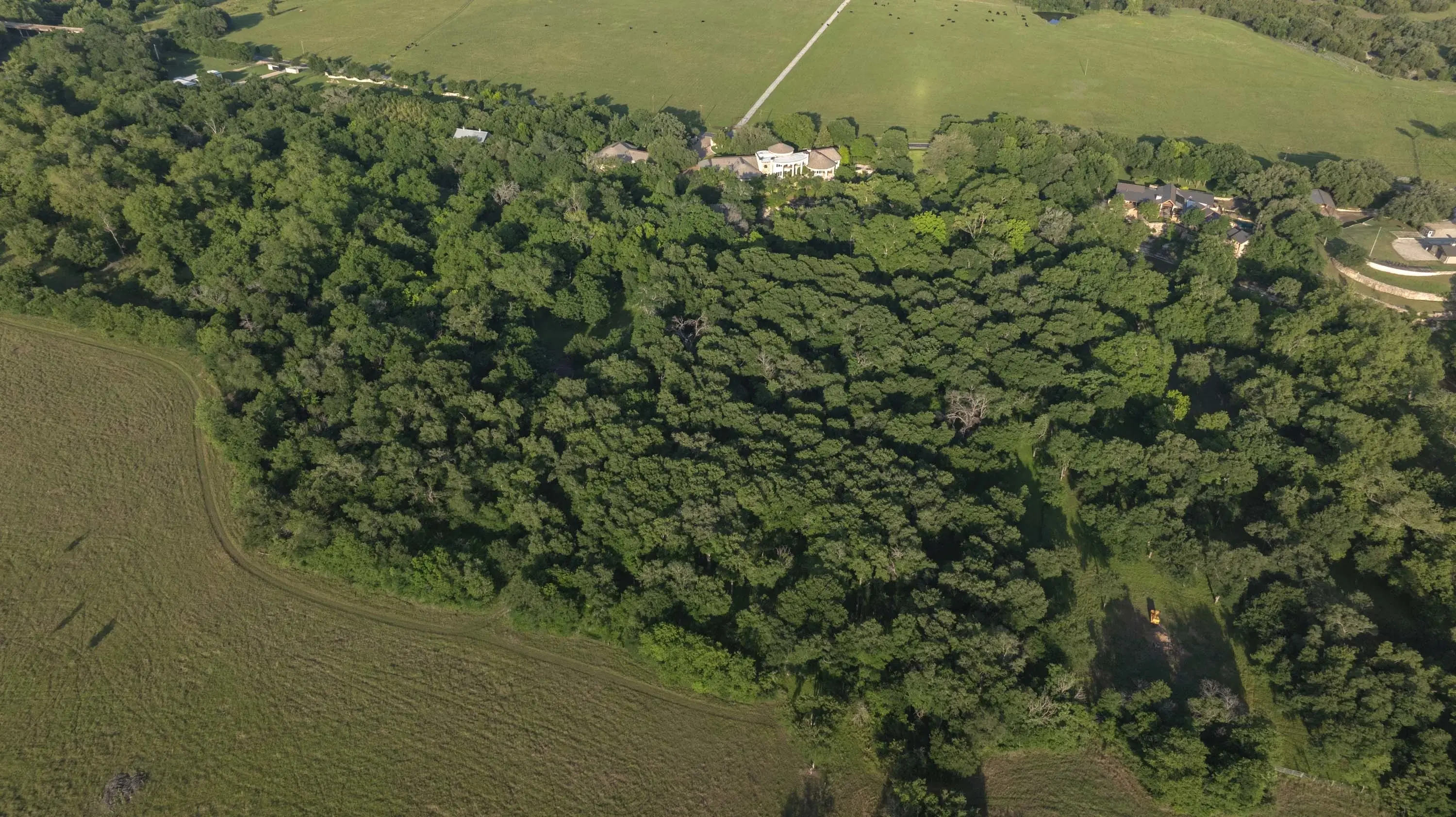 8536 Armstrong Road, Belton, Near Austin, Texas 76513 - 02_Armstrong_Road_roesfx