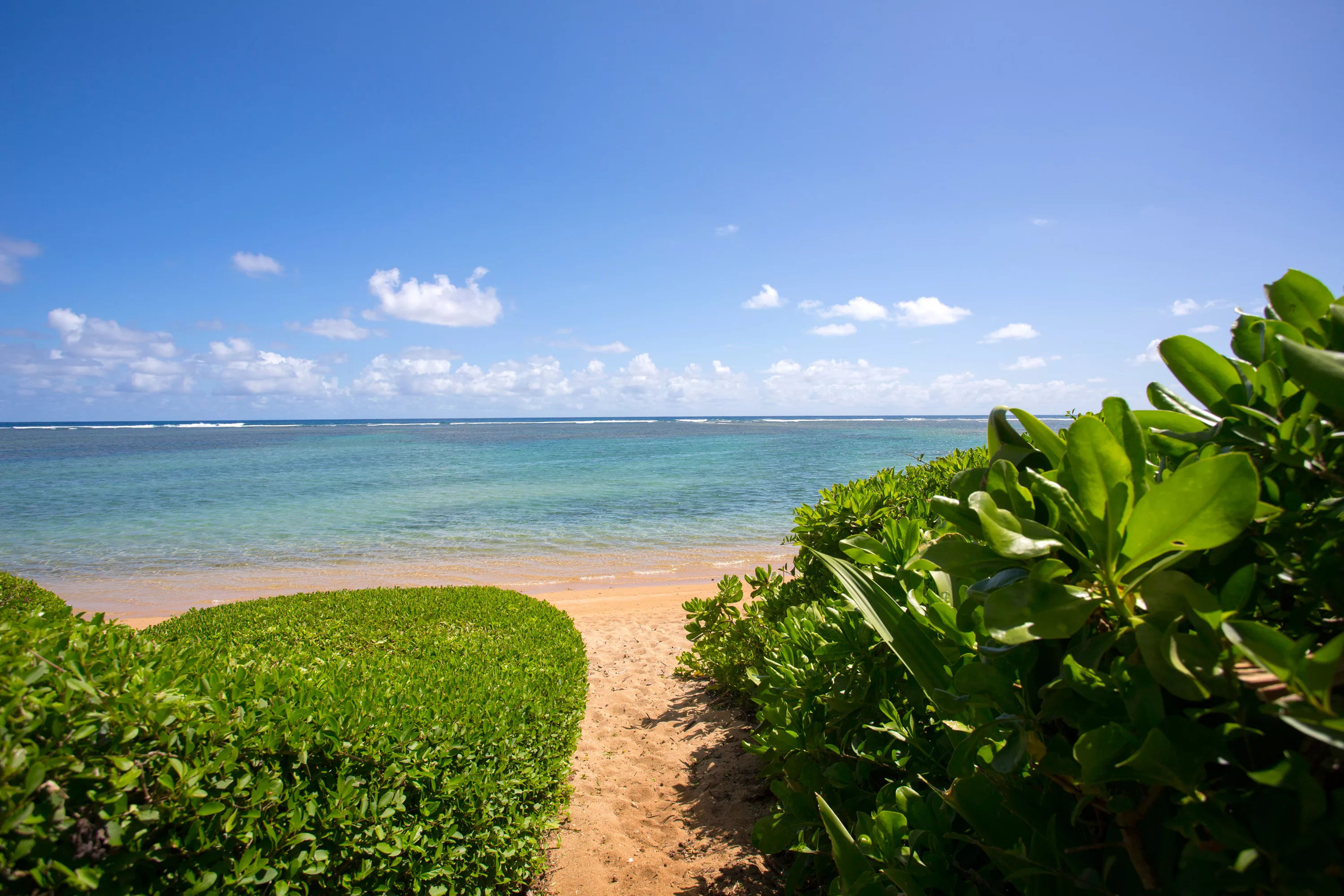 3580 Anini Road, Kilauea, Hawaii 96754 - 3580-anini-rd-kauai-hawaii-52_lsudzq