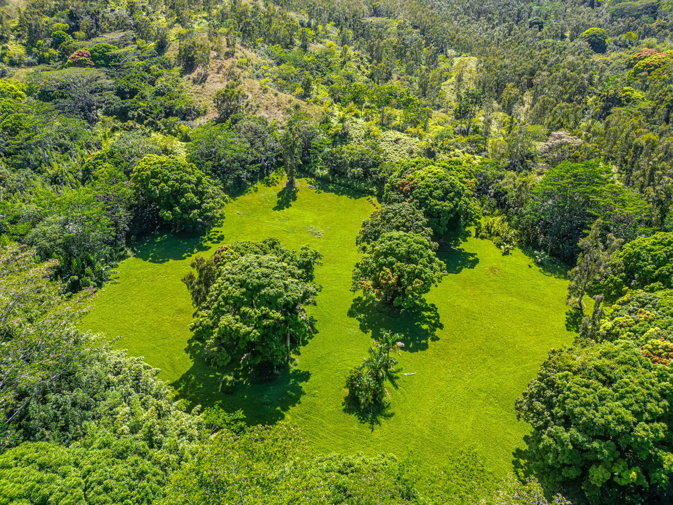 Kuhio Highway, Hanalei, Kauai, Hawaii  - Hanalei_Hideaway_16_wmfg7j