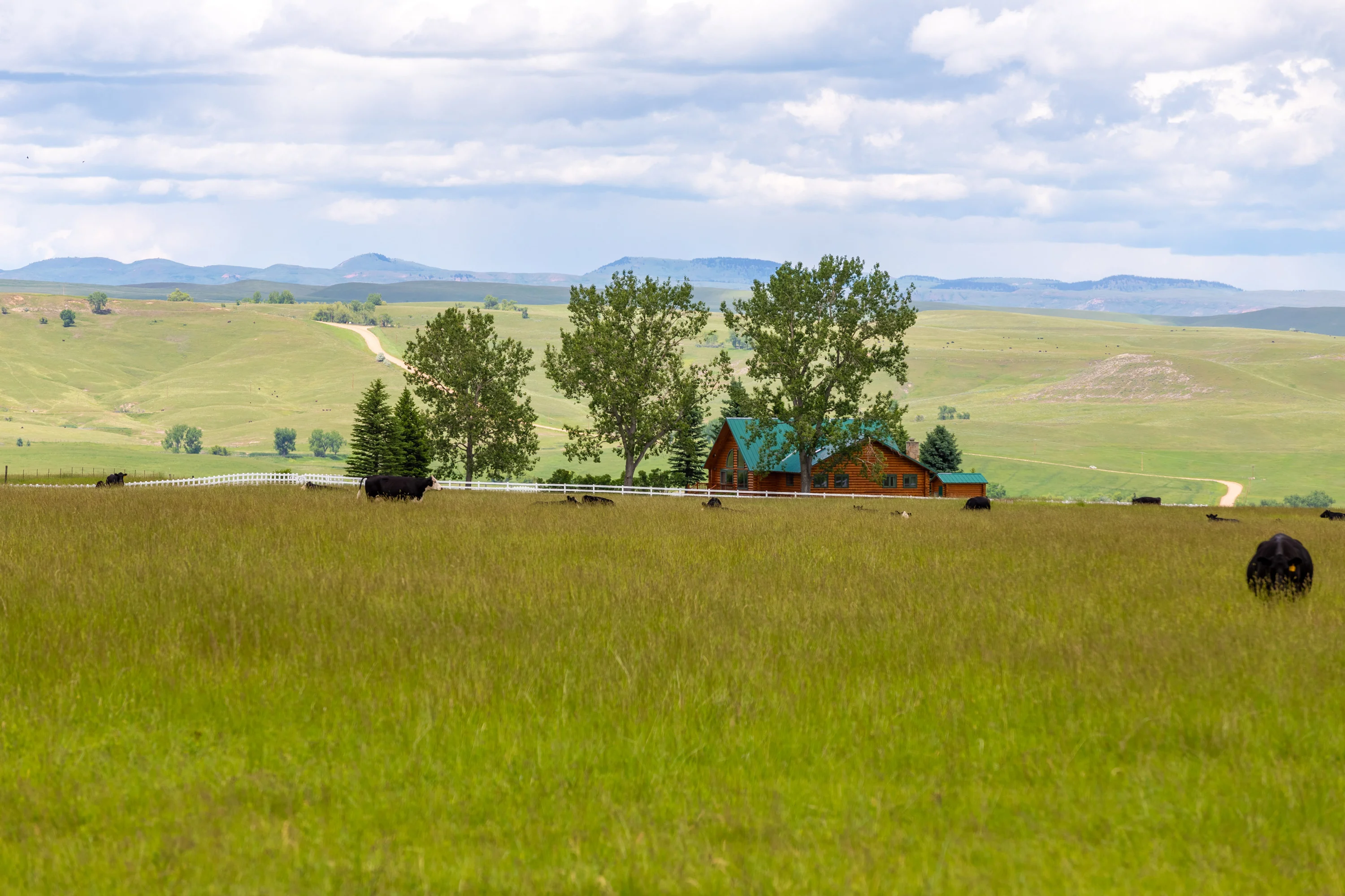 43 Rapid Creek Road, Sheridan, Wyoming 82801 - holy-cow-ranch-43-rapid-creek-road-sheridan-wyoming45_pa06d8