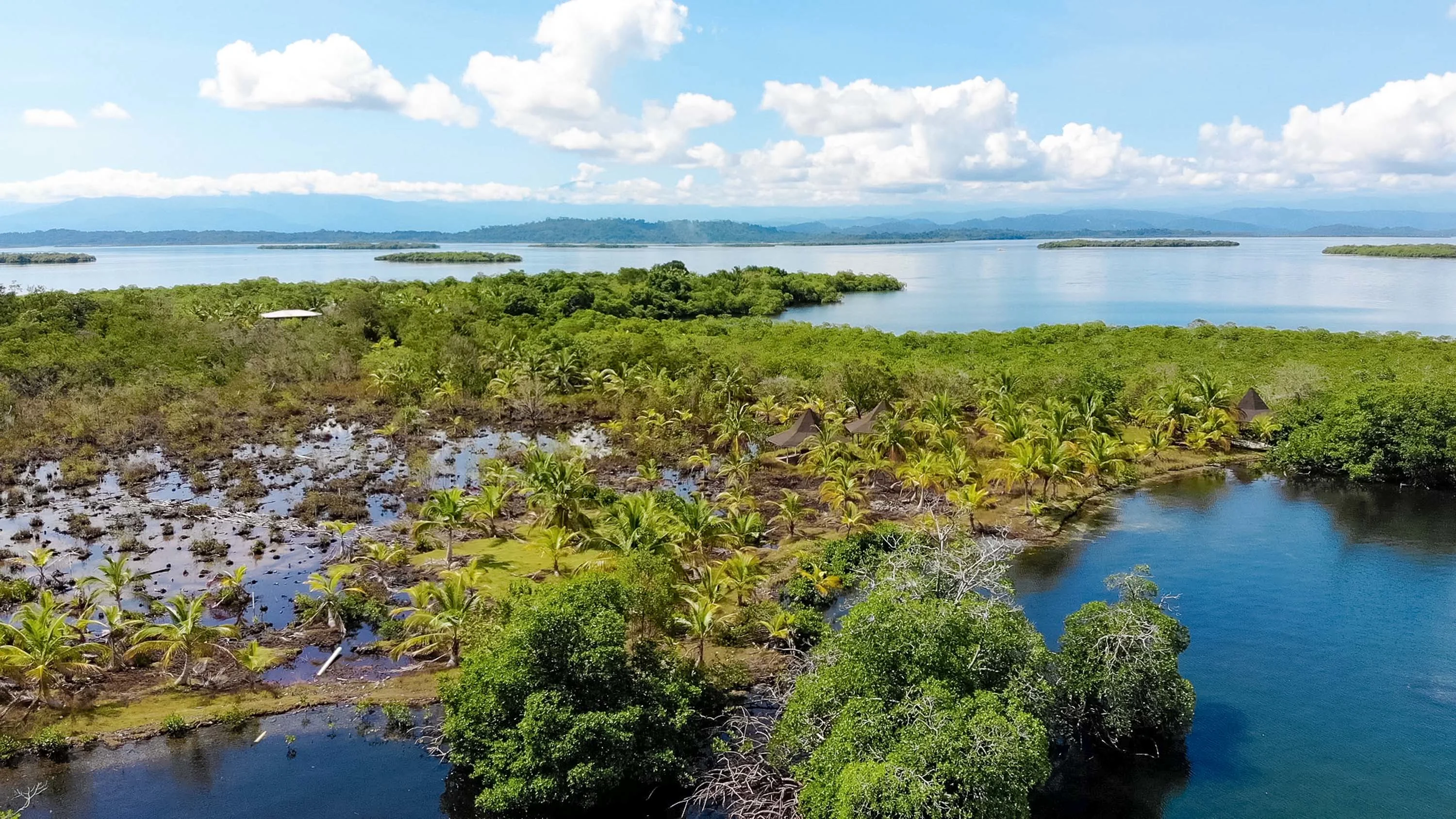 Build the Ultimate Island Oasis—, Dolphin Island—Bocas Del Toro/Near Costa Rica, Northwest Caribbean Sea , Panama - 6_-_DJI_0129.00_07_50_00.Still007_j0wbnz