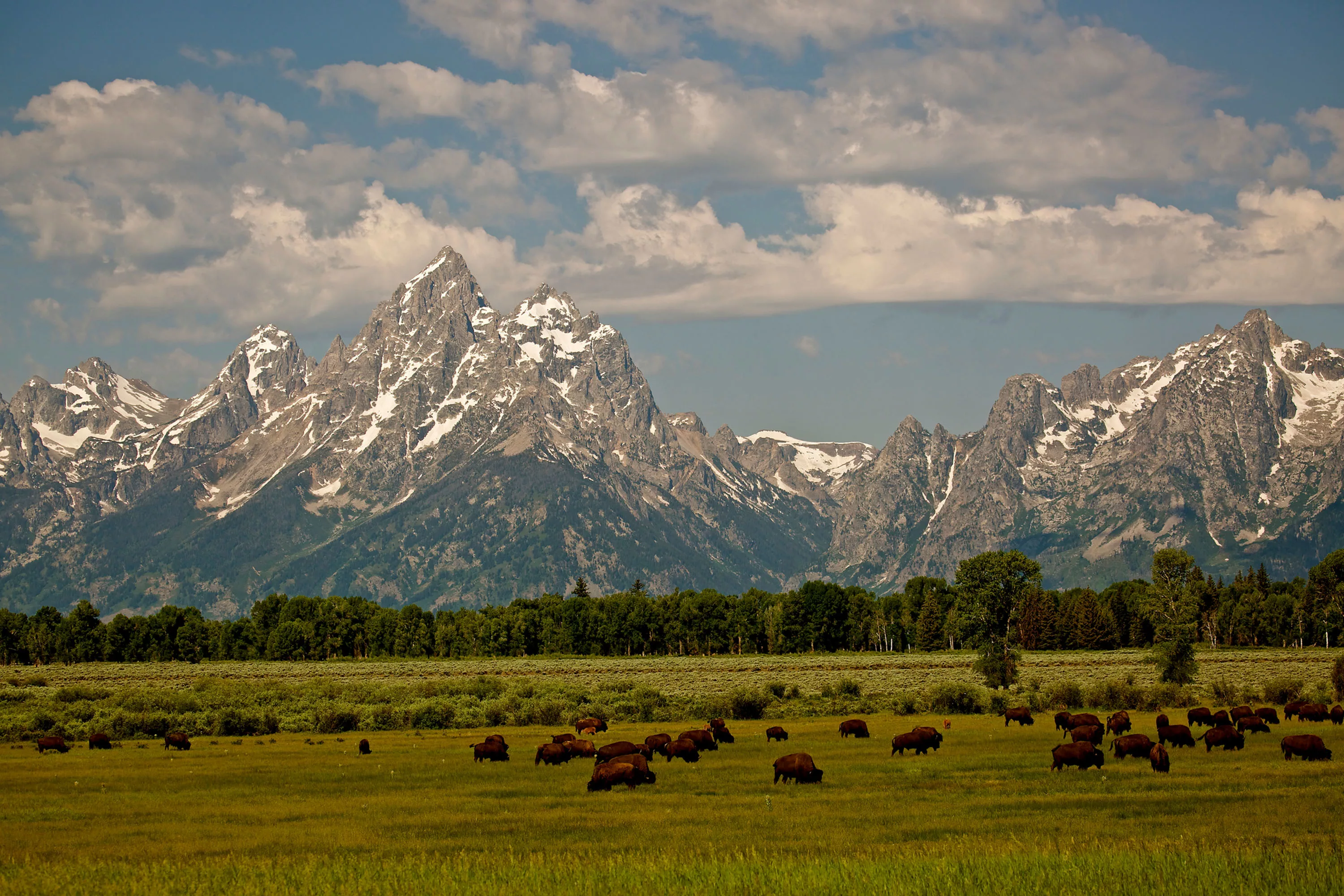 585 W Lodge Cottage Drive, Jackson Hole, Wyoming 83001 - iStock-627225280_m7eloj