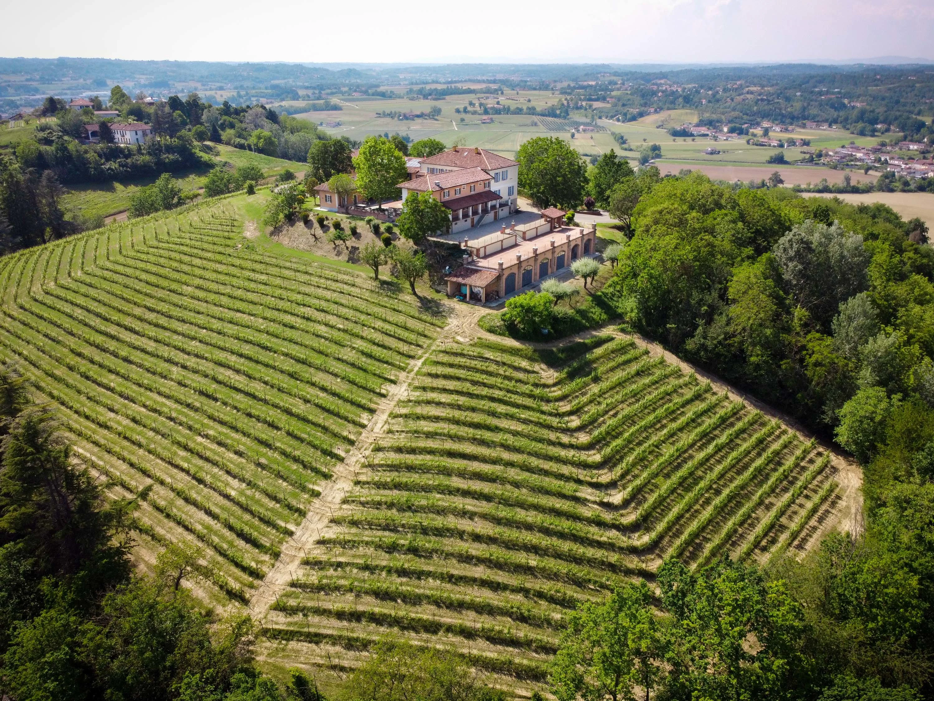 Azienda Agricola Montefiorito, Asti, Monferrato Region, Piedmont , Italy - 3_-_AST2605_Asti-5_zvjmba
