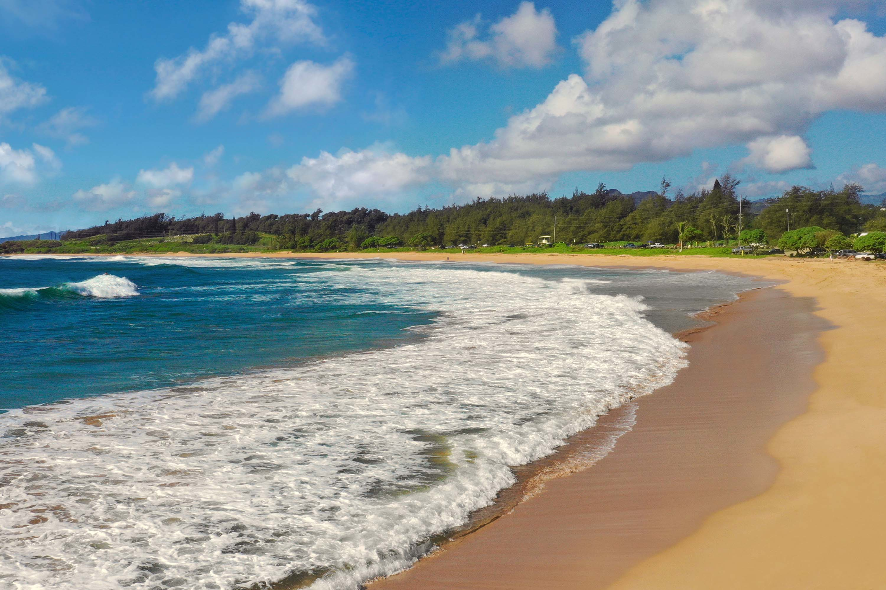 05 0 Kapoli St, Kealia, HI 96746 Concierge Auction Luxury Real Estate