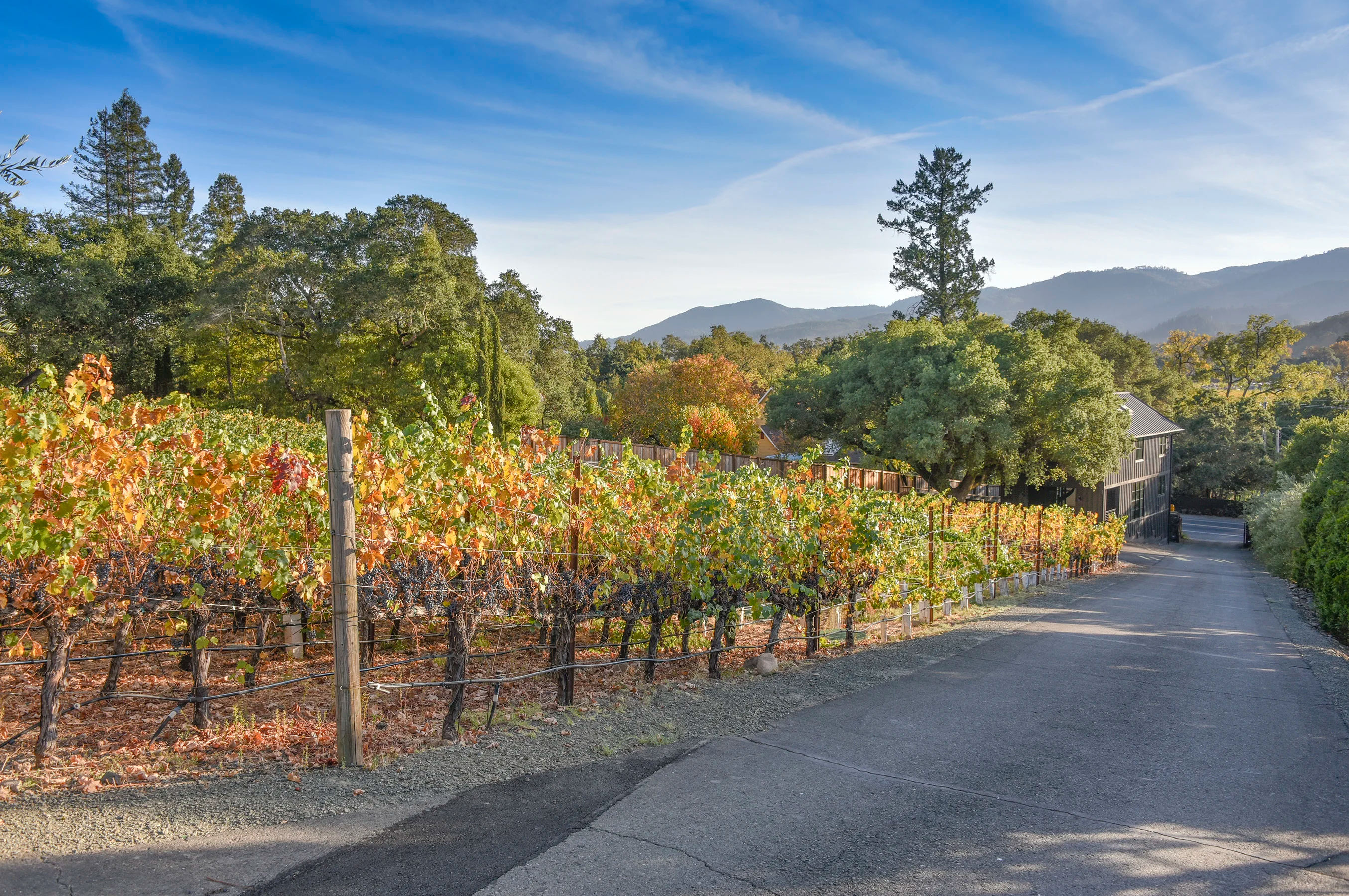 2618 & 2620 Silverado Trail North, Saint Helena, California 94574 - St-Hel-CA67_yss5dx