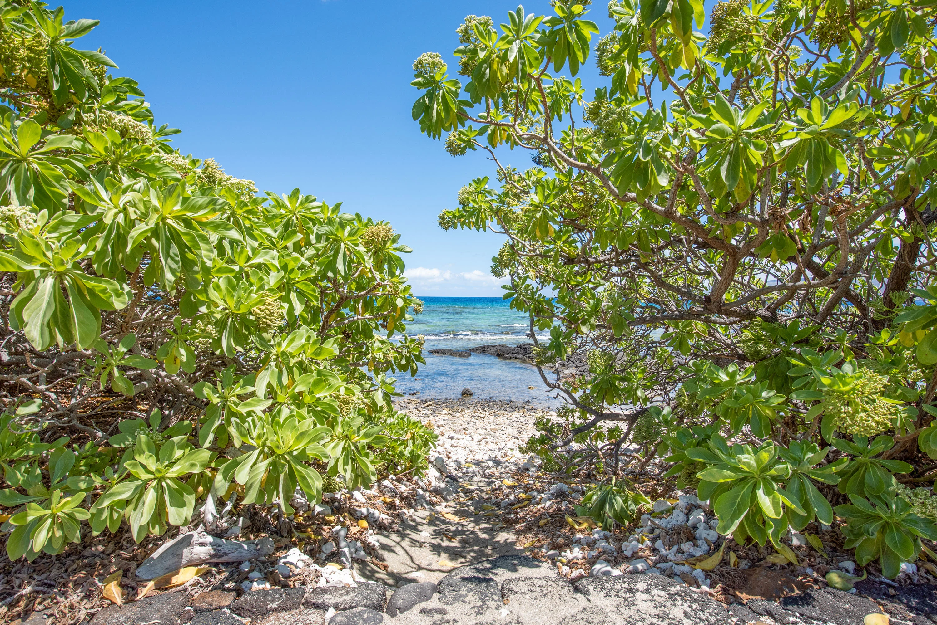 69-1790 Puako Beach Drive, Kohala Coast, Big Island, Hawaii 96743 - 69-1790-puako-beach-drive-kamuela-hawaii29_q8nfff