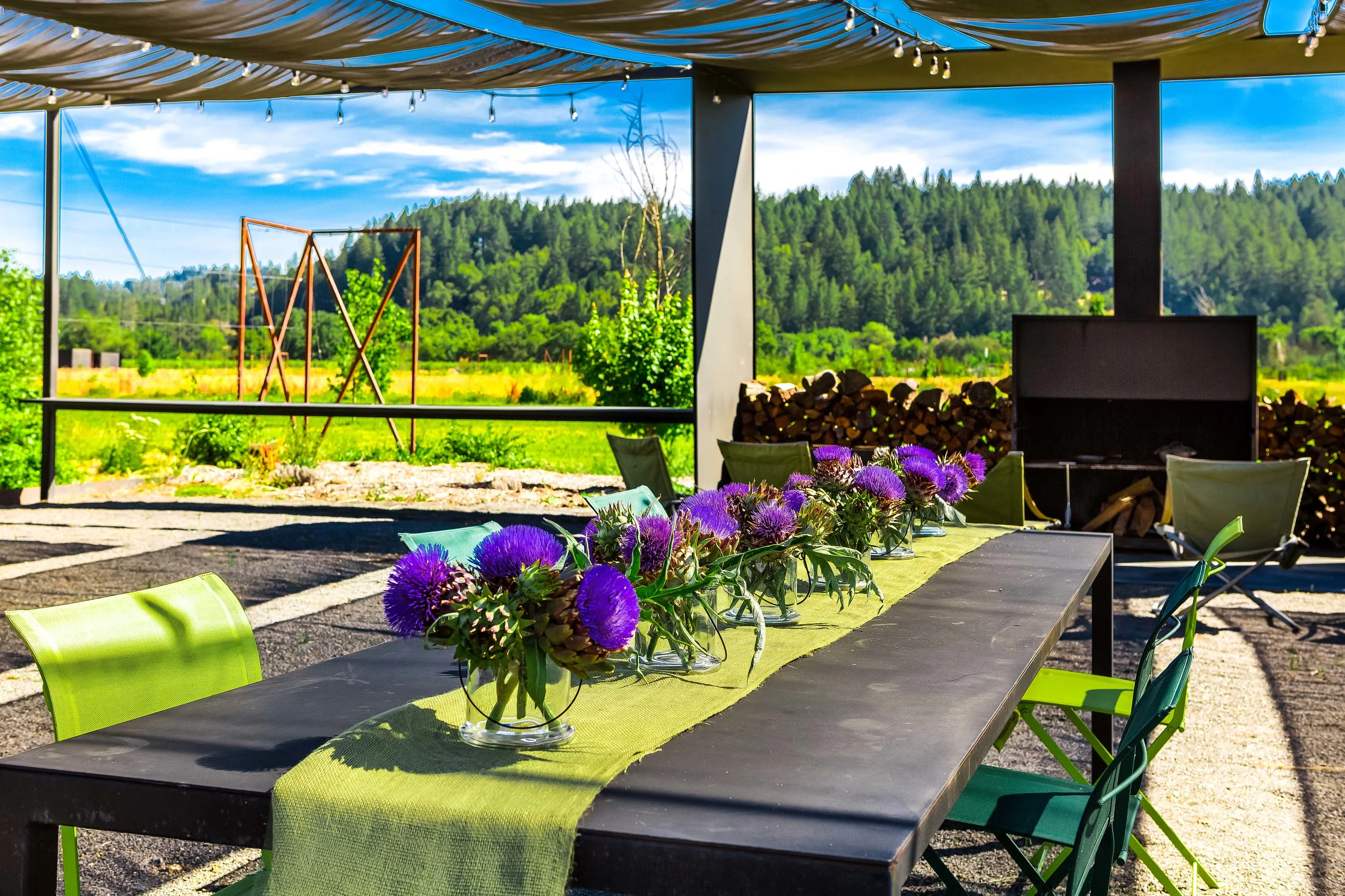2836 Dry Creek Road, Sonoma County, California 95448 - 2836-dry-creek-road-healdsburg-california27_e7g6cv