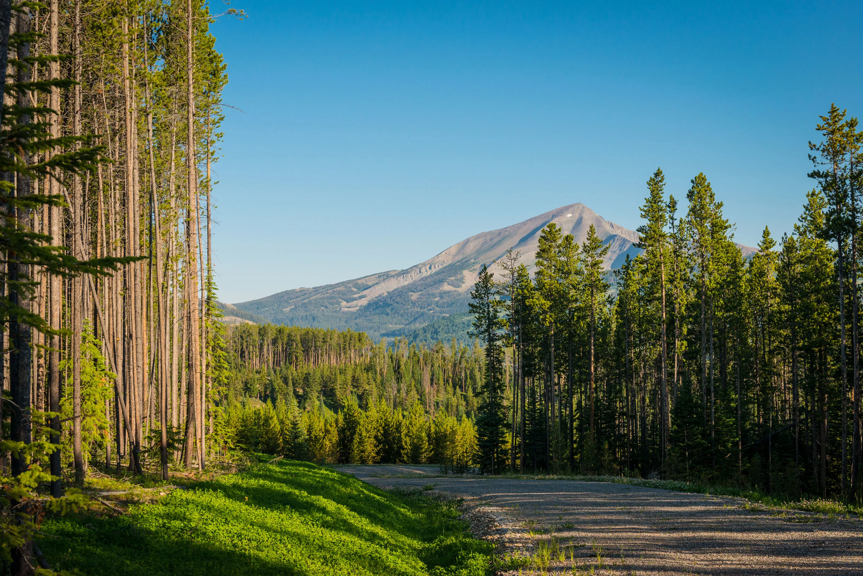 Yellowstone Preserve, Big Sky, Montana  - yellowstone-preserve-big-sky-mt-elk-sage_03_jkn1dn