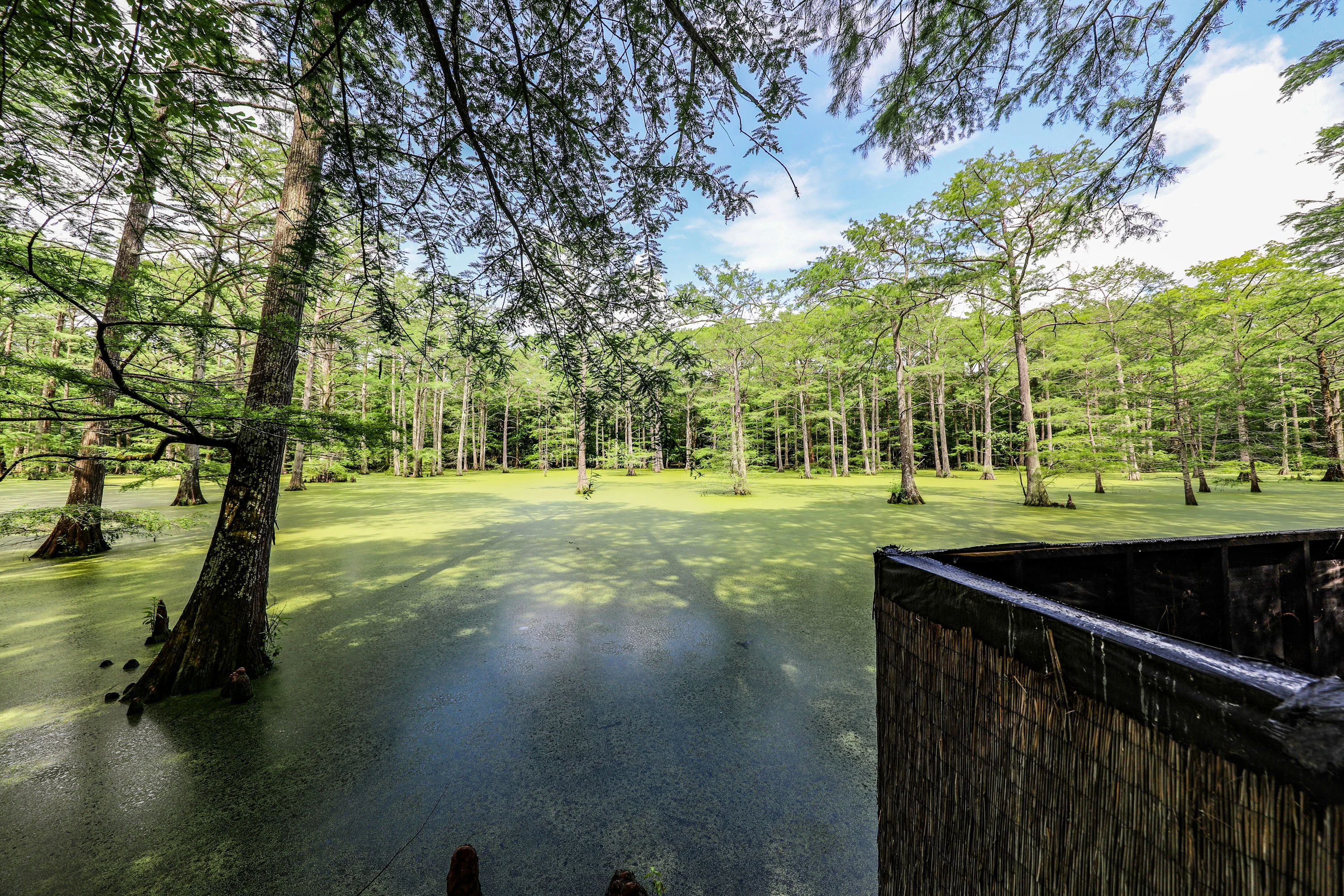 Nix Lower Bayou, East Texas, Texas 75657 - 601-fm-134-jefferson-texas04_ljagaa