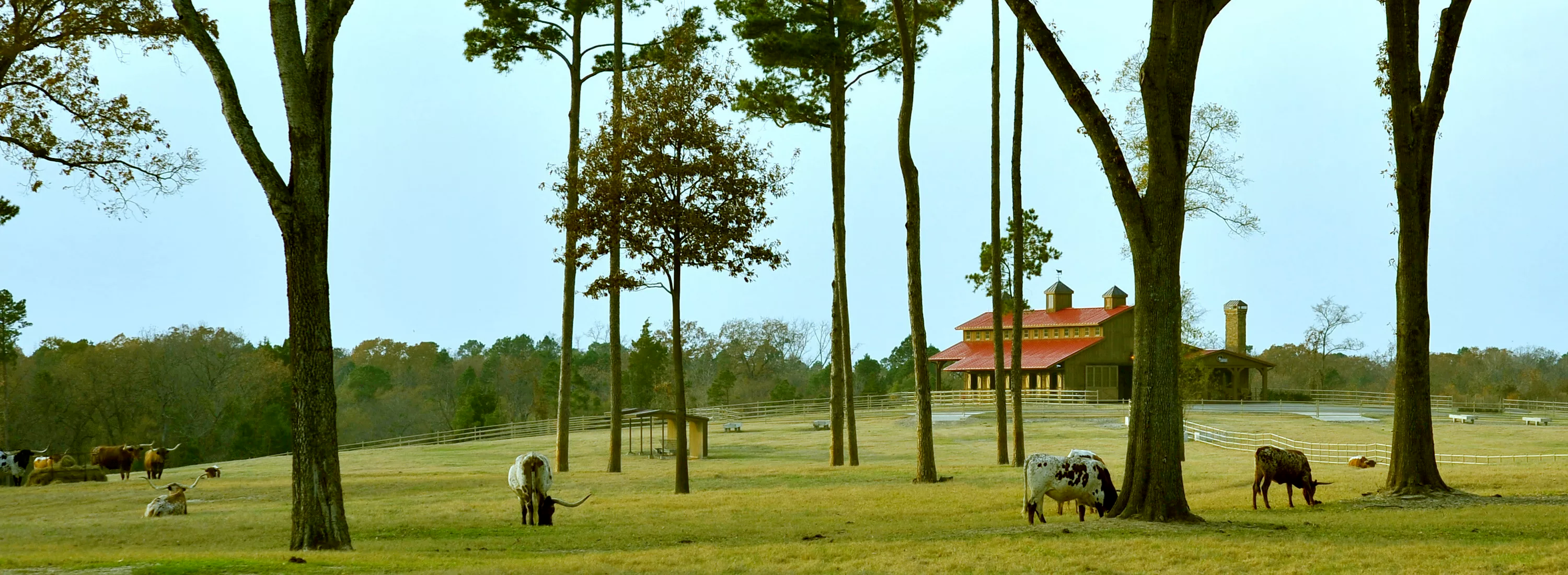 416 CRSE 3390, Winnsboro, Texas 75494 - timber-creek-ranch-lake-cypress-springs-tx-luxury-real-estate-50_ojlewo