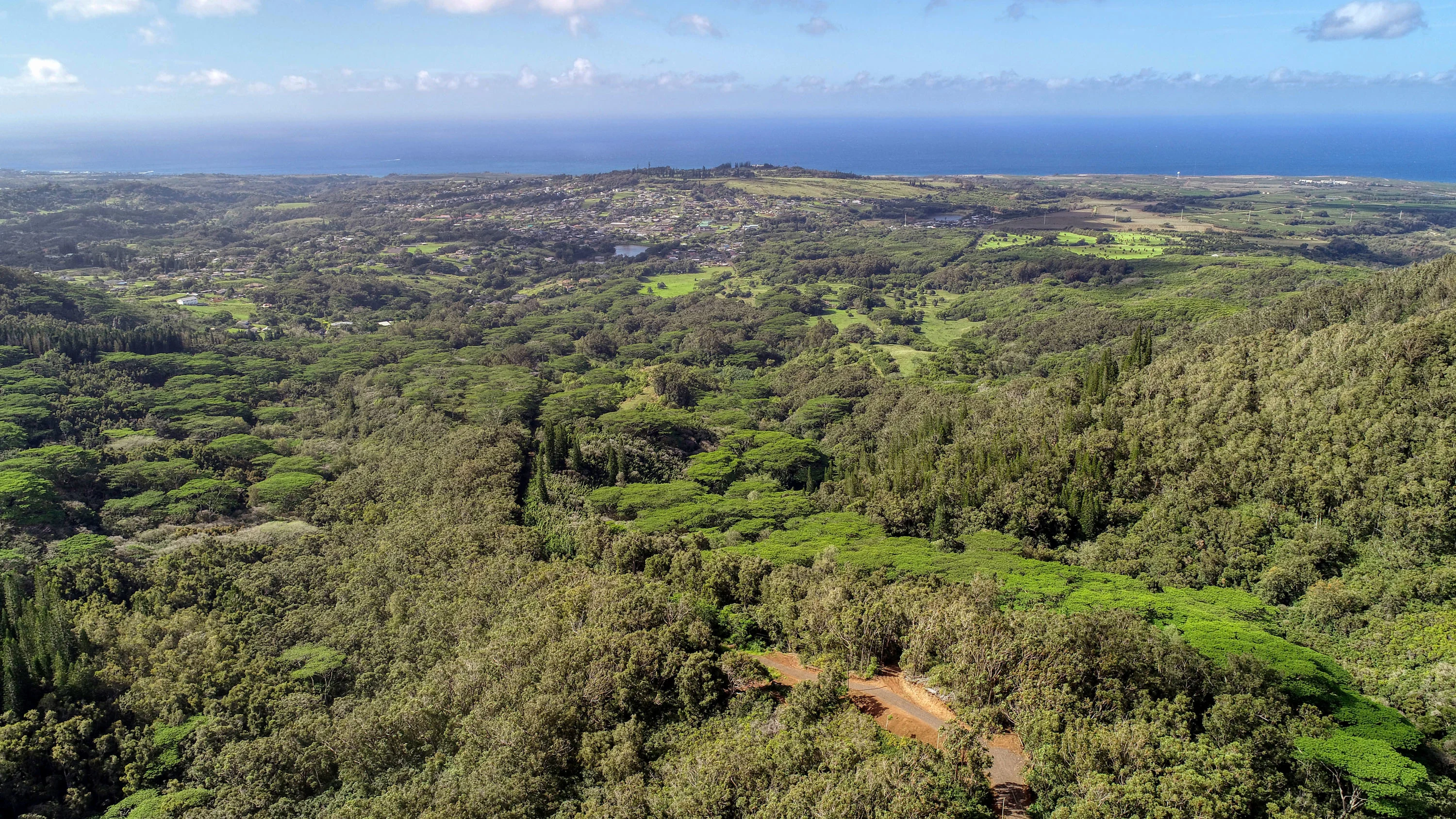 2-2131-Z Kaumualii Highway, Kalaheo, Kauai, Hawaii 96741 - 2-2131-z-kaumualii-highway-kalaheo-hawaii08_ovtllk