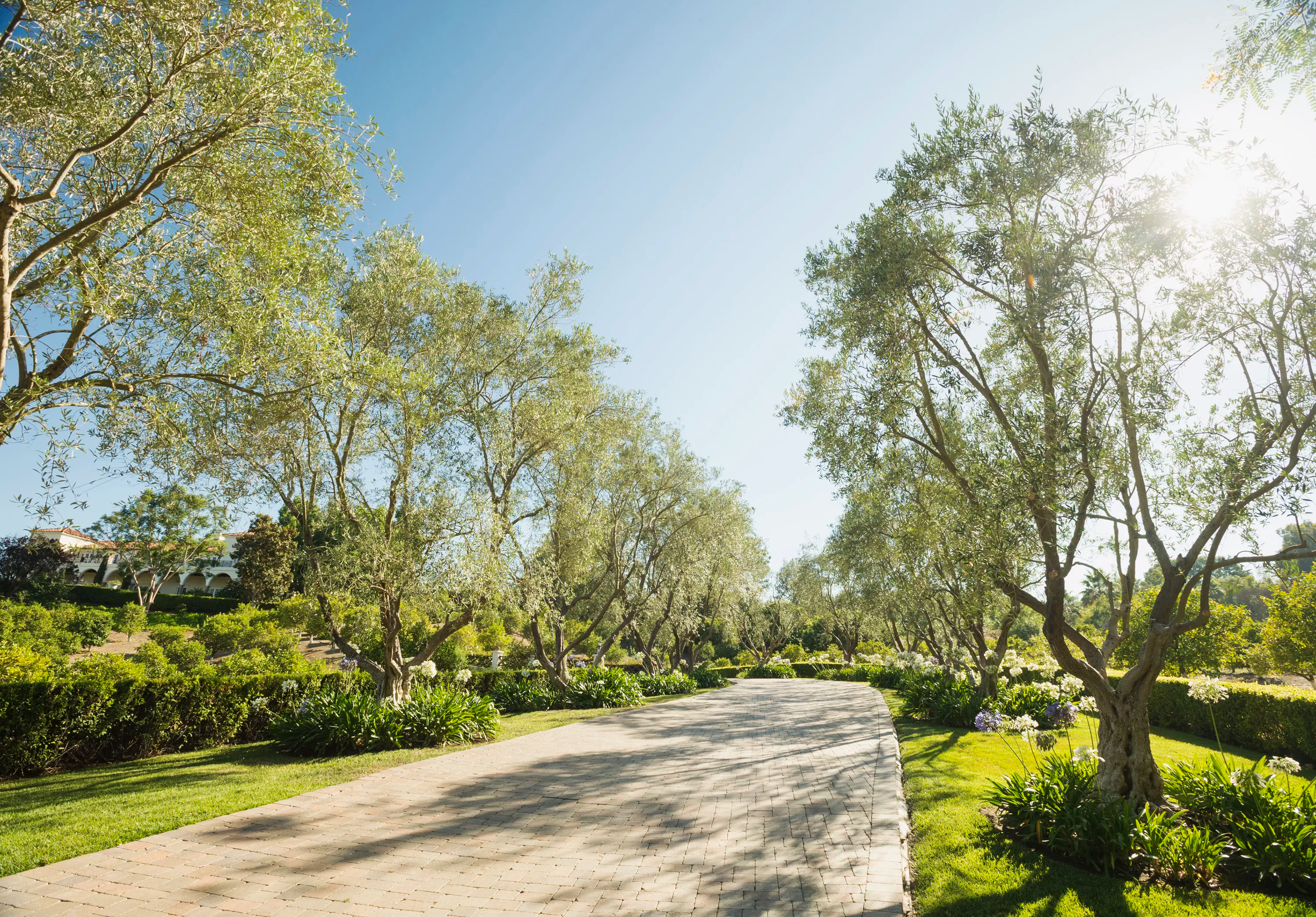 5425 Los Mirlitos Street, Rancho Santa Fe, California 92067 - el-milagro-5425-los-mirlitos-rancho-santa-fe-ca-luxury-real-estate-20_g6uyoj