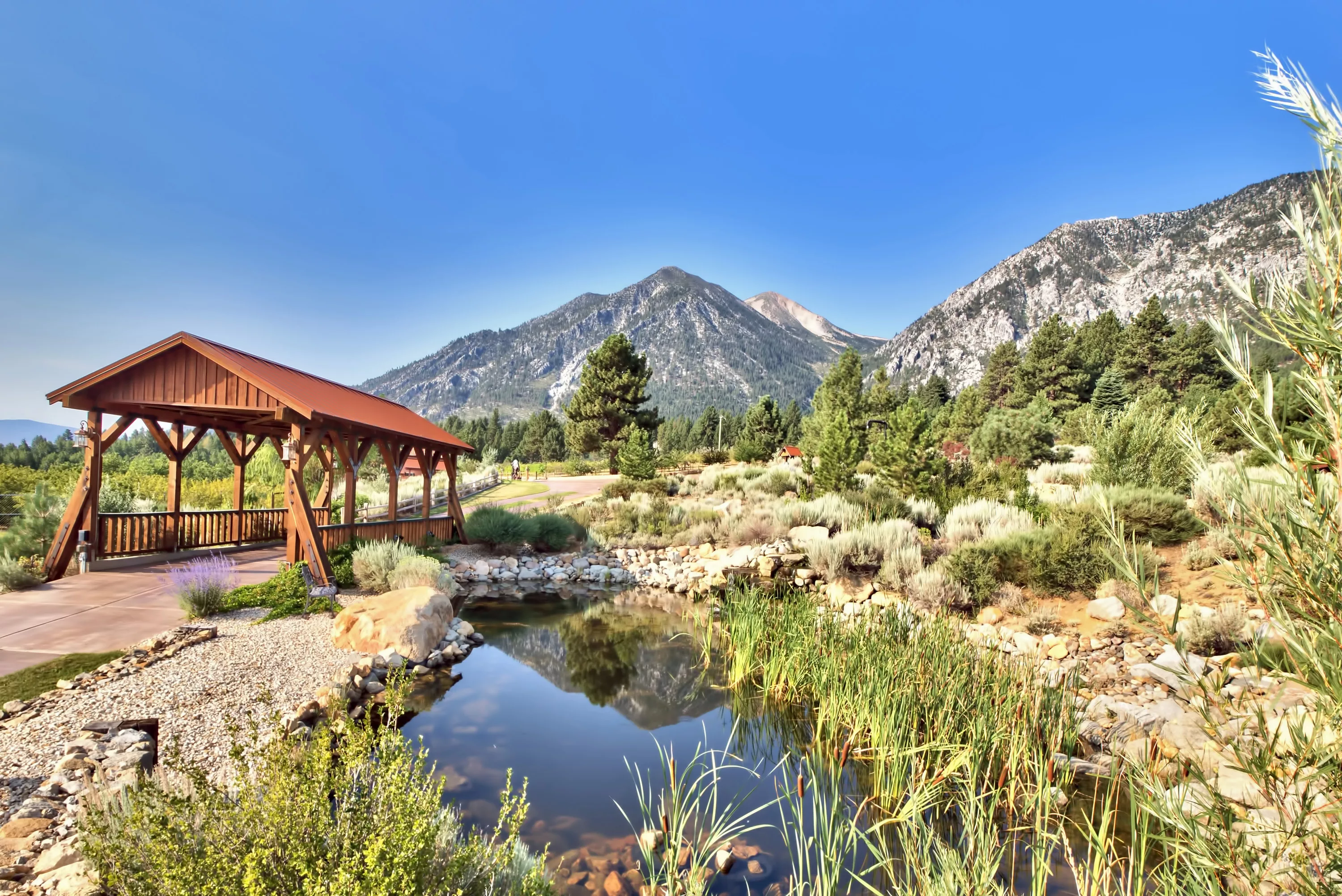 301 Five Creek Road, Near Lake Tahoe, Nevada 89460 - 301-five-creek-road-gardnerville-nevada-09_nayqnm