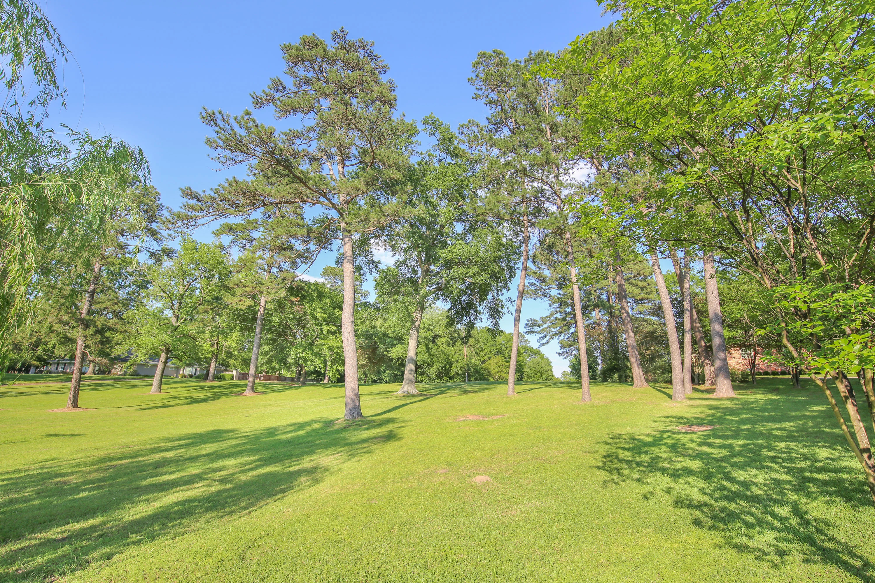 800 South Greer Boulevard, Pittsburg, East Texas, Texas 75686 - pilgrim-estate-800-s-greer-blvd-east-texas-66_lezfoi