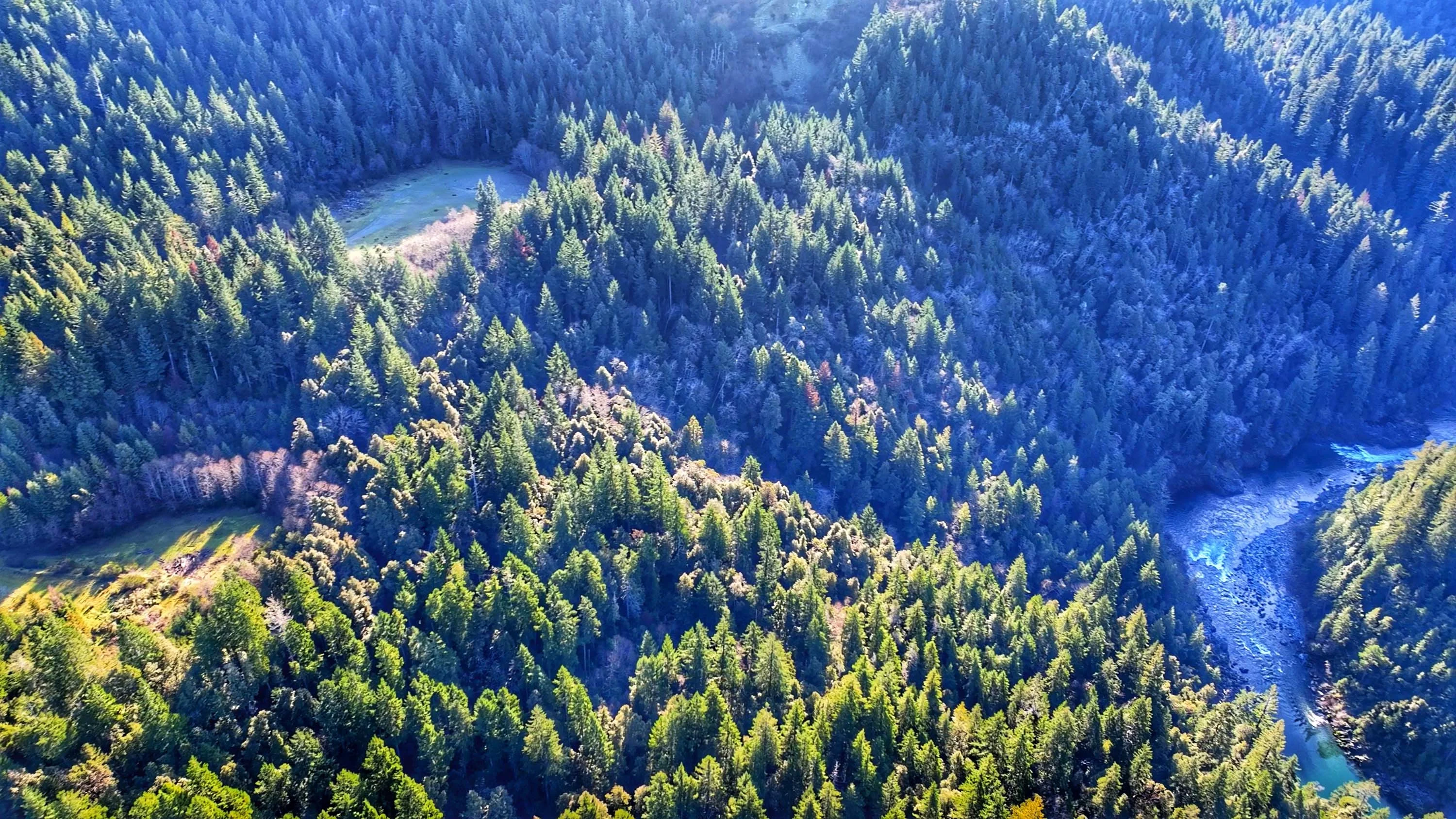 144 French Hill, Gasquet, Crescent City Area, California 95543 - Sequence_01.00_11_24_37.Still005-01_j0furi