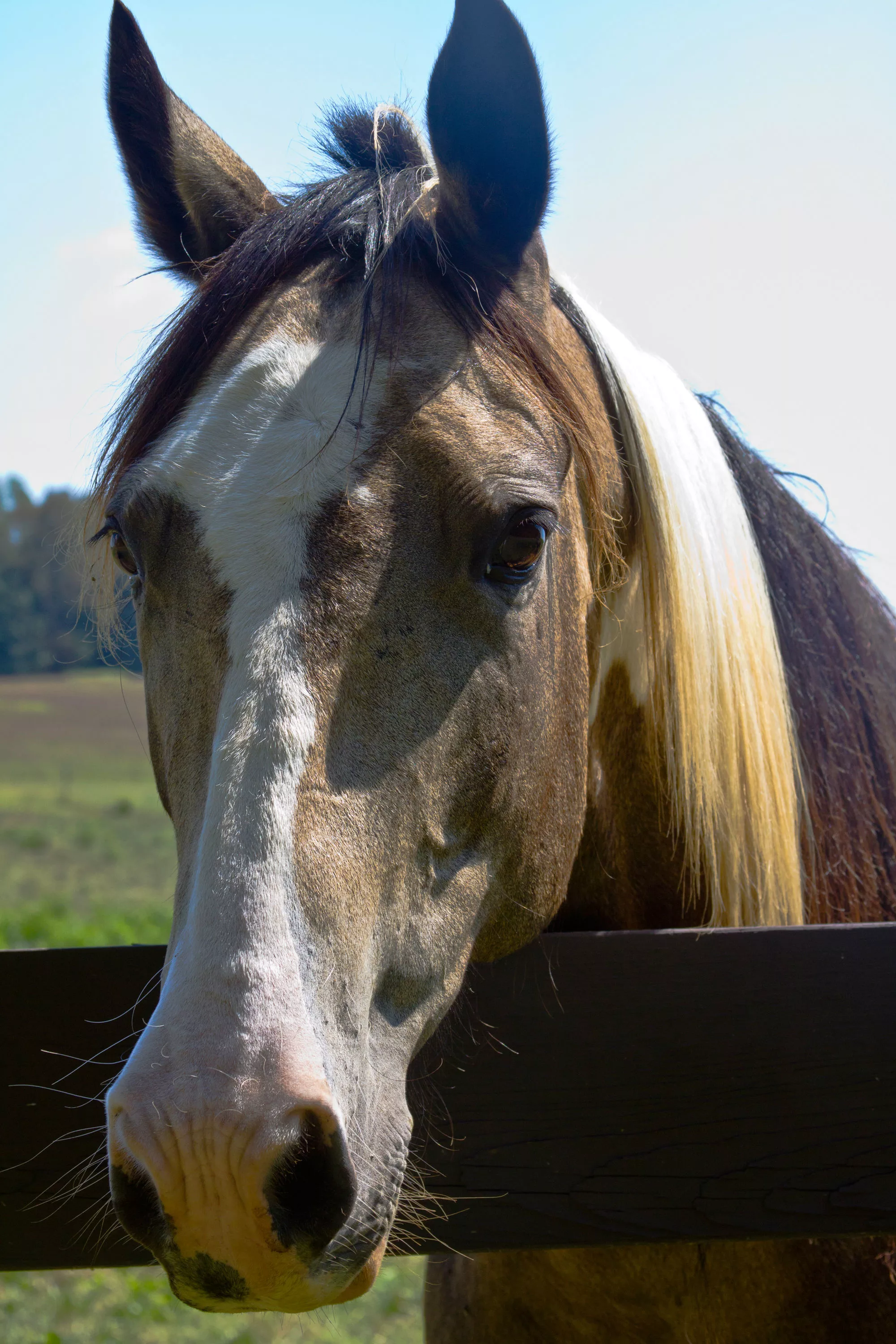 196 Old Stagecoach Lane, Statesville, North Carolina 28625 - img_3135-copy_r817yy
