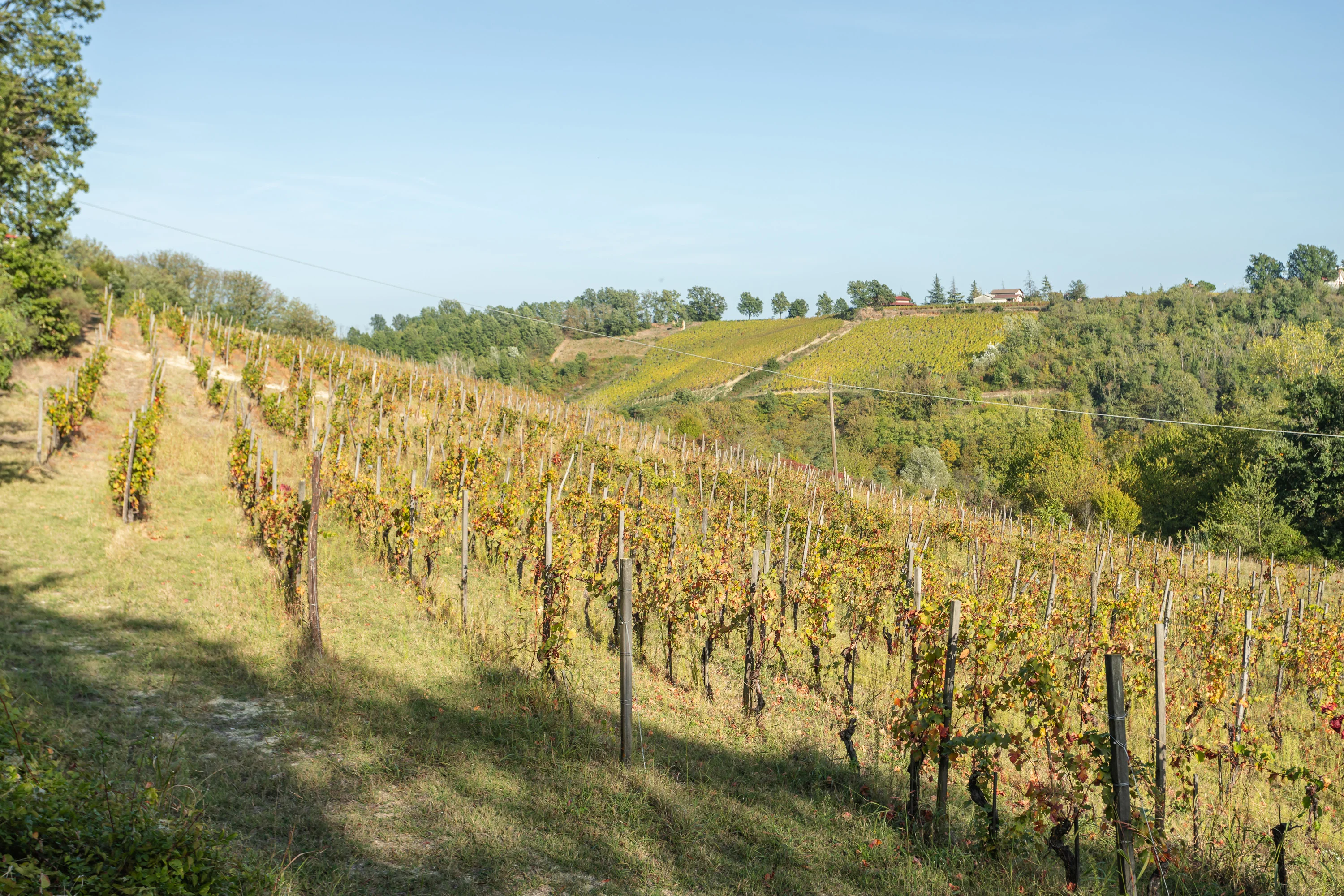 1 Cascina Palazzo, Alto Monferrato, Piedmont , Italy - 1-Cascina-Palazzo-Grimaldi-37_oi5m8m