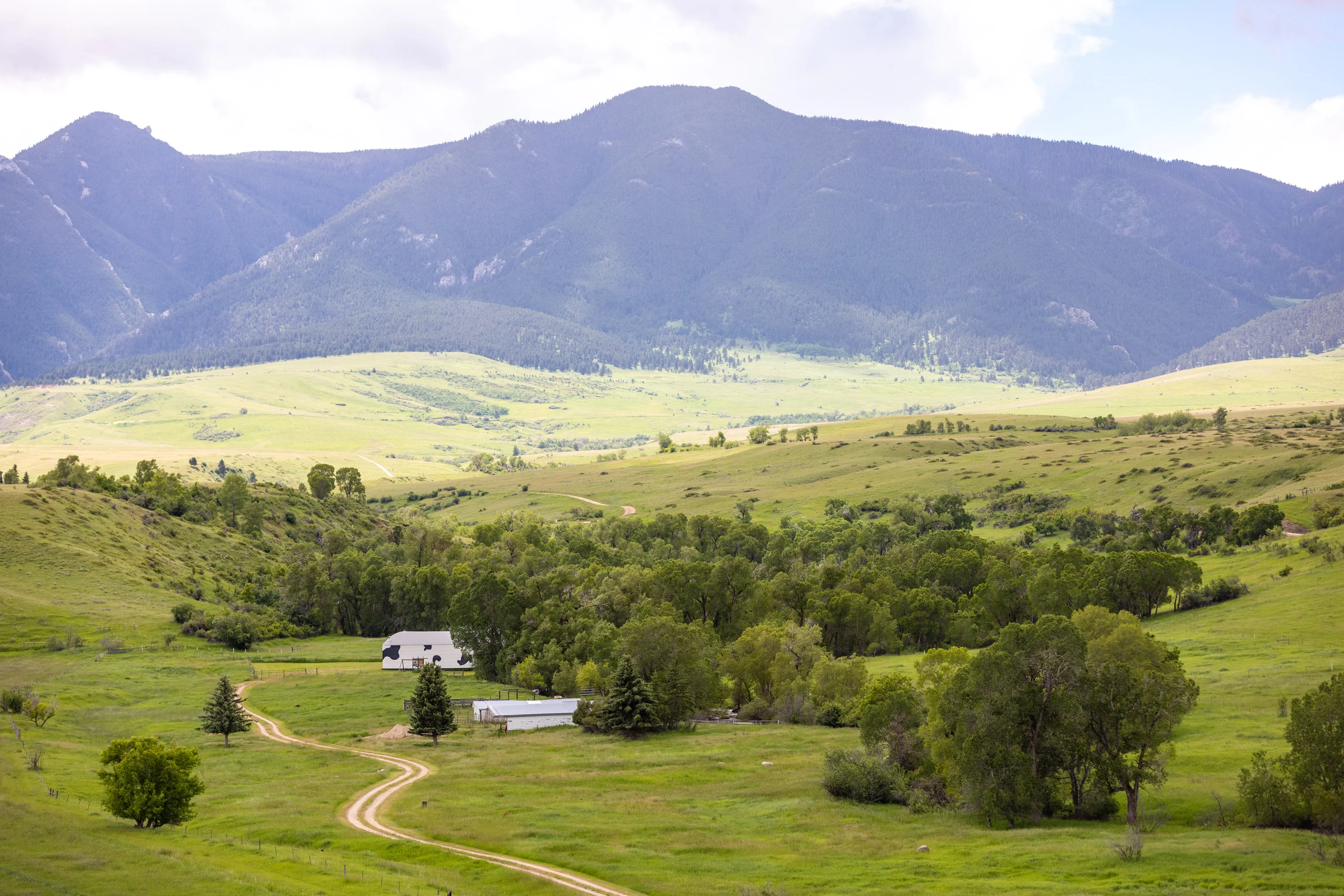 43 Rapid Creek Road, Sheridan, Wyoming 82801 - holy-cow-ranch-43-rapid-creek-road-sheridan-wyoming56_f4ml12