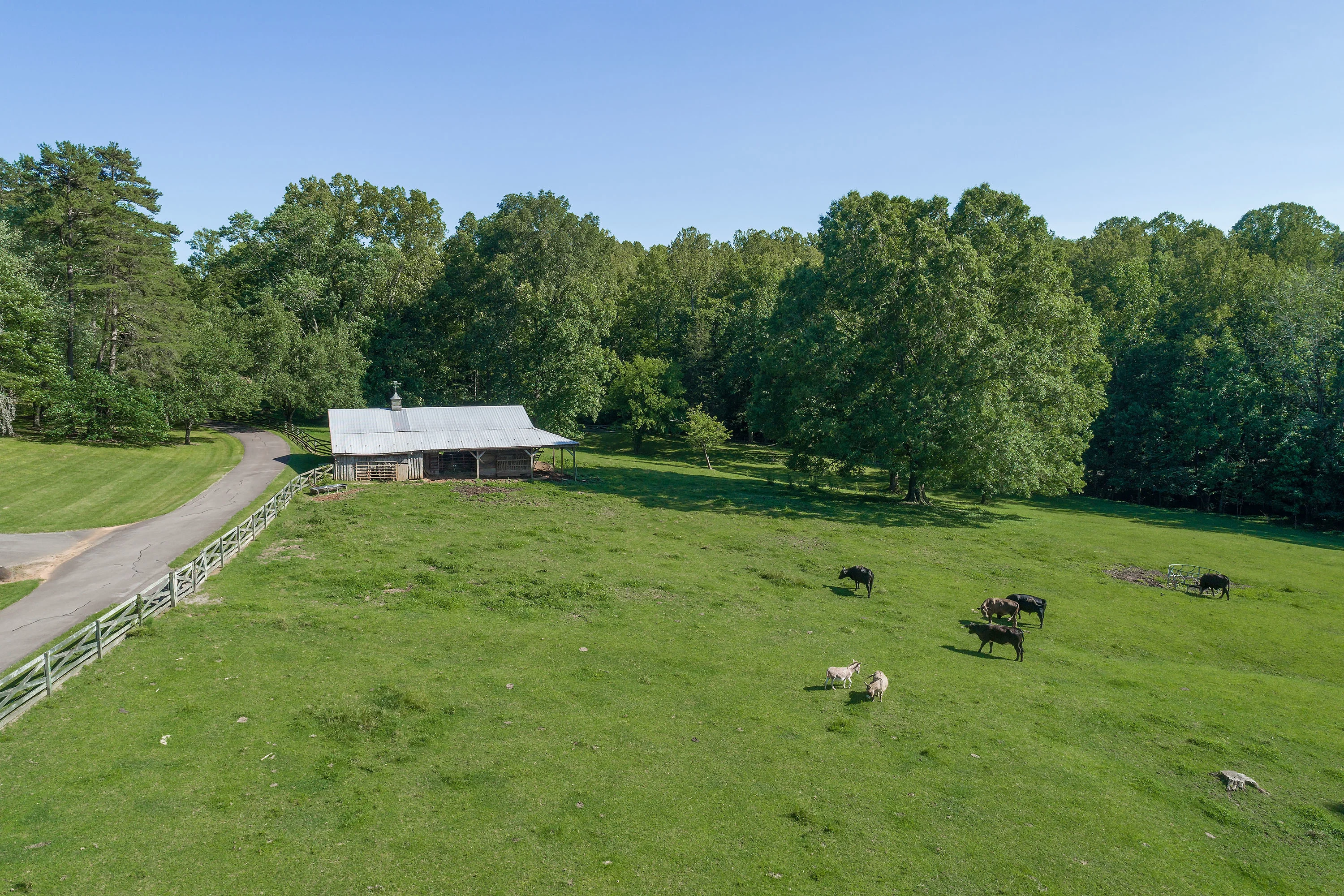 1011 Thunderwood Farm Lane, Lewisville, North Carolina 27023 - 1011-thunderwood-farm-lane-lewisville-north-carolina-45_jnwi6s