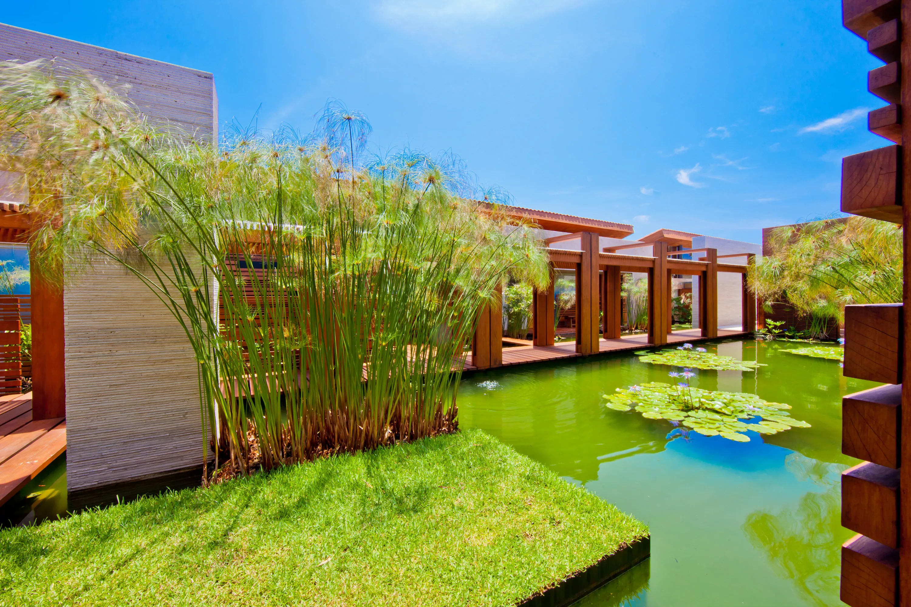 La Punta Estates Lot #9, Punta Mita, Nayarit 63734, Mexico - la-punta-estates-lot-9-punta-mita-nayarit-mexico-63734_00_02_rdyv8n