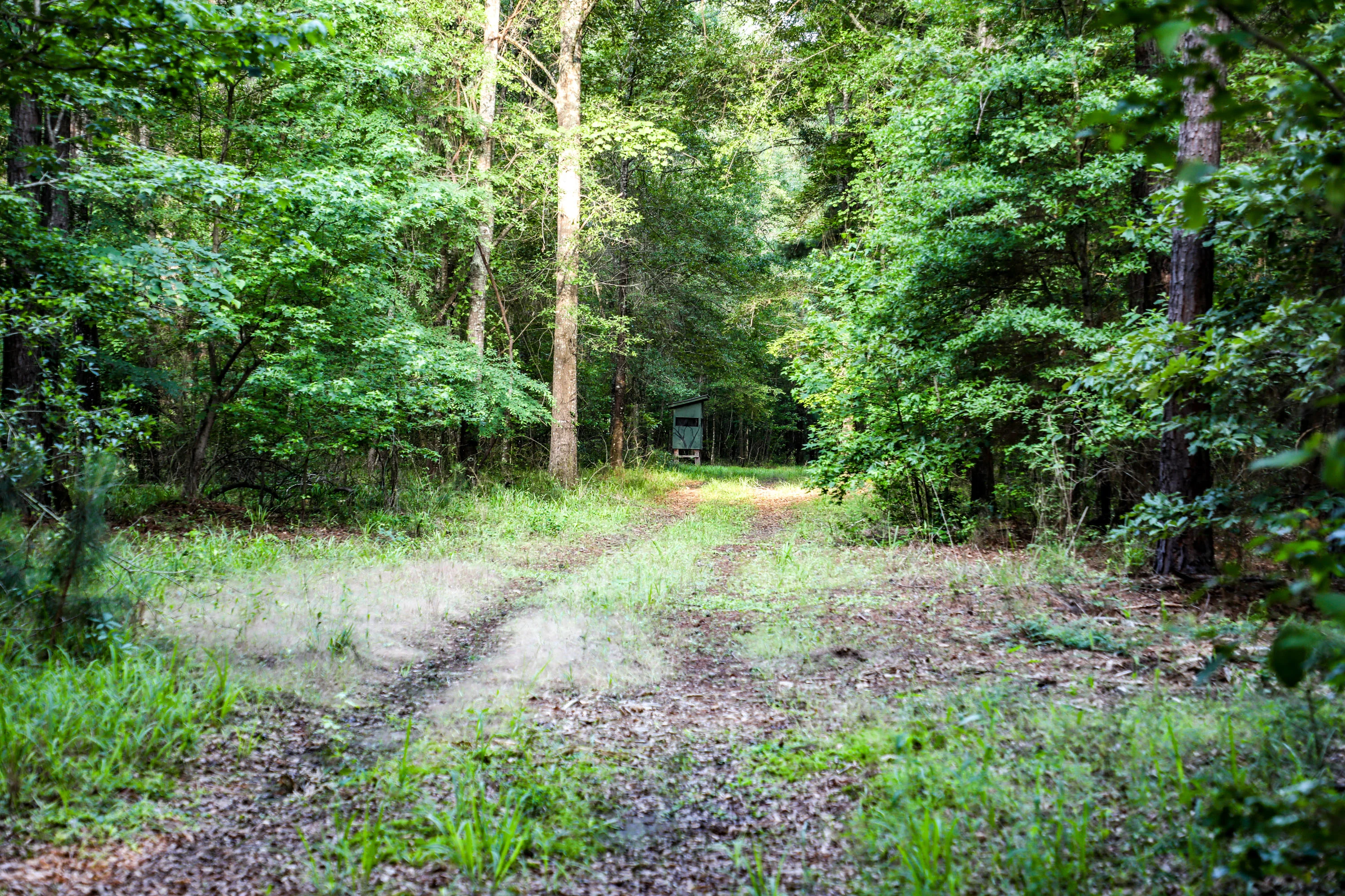 Nix Lower Bayou, East Texas, Texas 75657 - 601-fm-134-jefferson-texas09_aksjaq