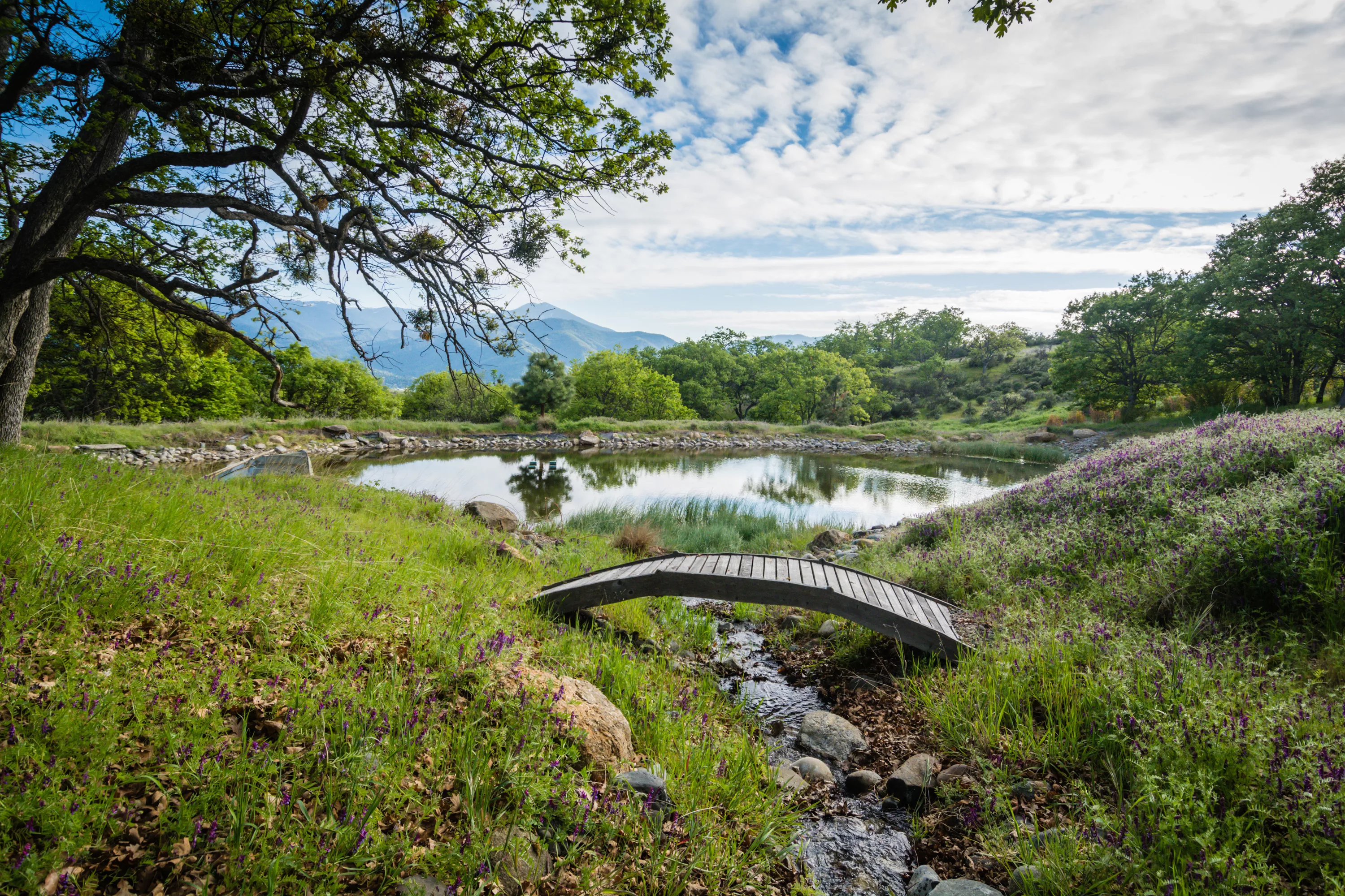 3300 Butler Creek Road, Ashland, Oregon 97520 - 3300-butler-creek-rd-ashland-oregon-24_omazhc