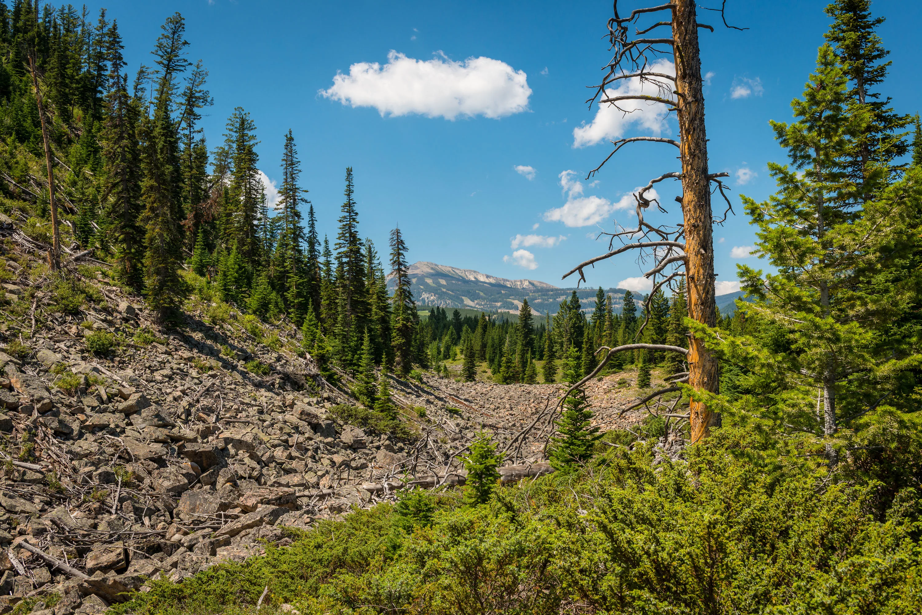 Yellowstone Preserve, Big Sky, Montana  - yellowstone-preserve-big-sky-mt-general_03_d7xcwu