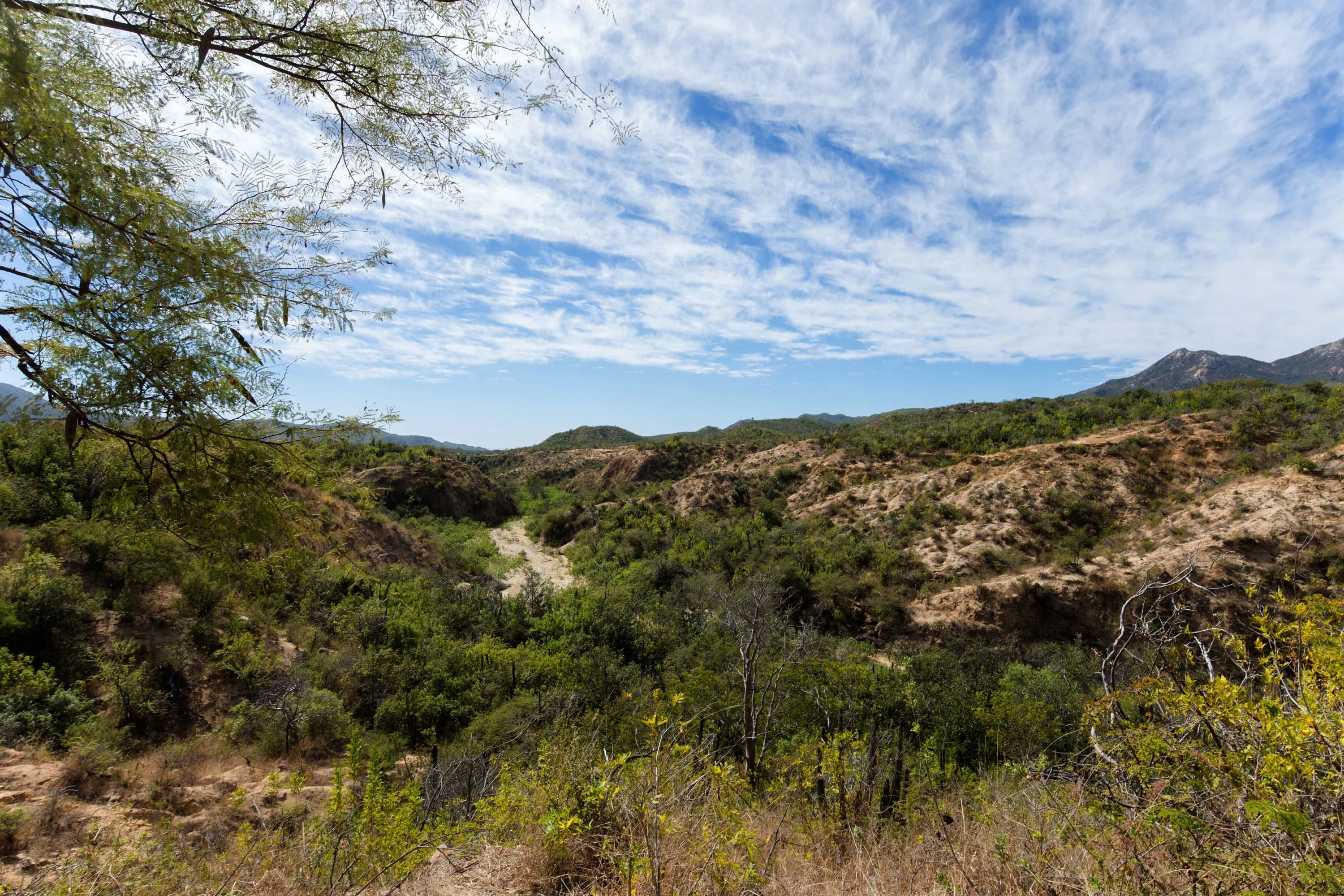 Rancho Espiritu, Los Cabos, Baja California Sur , Mexico - rancho-espiritu-los-cabos-mexico46_xx3343