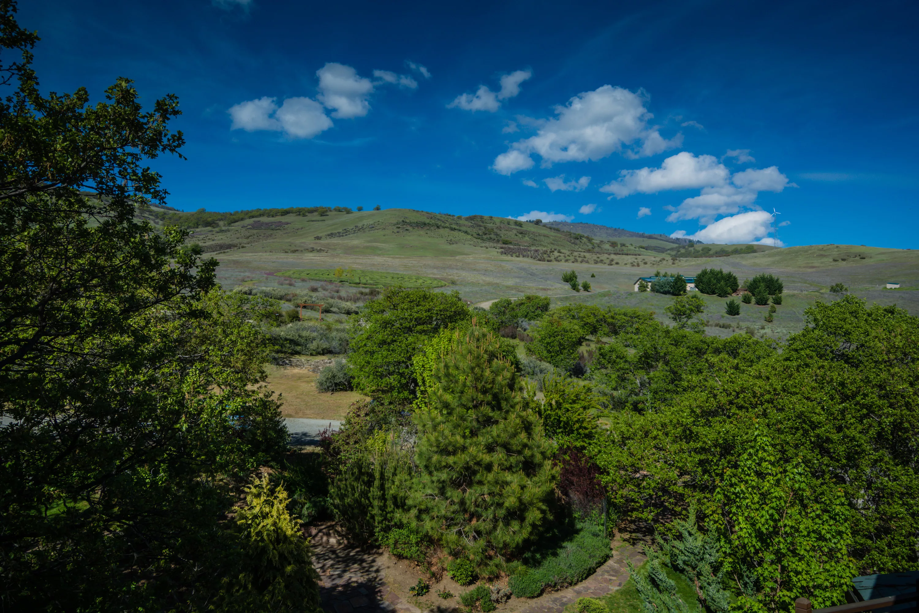 3300 Butler Creek Road, Ashland, Oregon 97520 - circle-of-teran-3300-butler-creek-rd-ashland-or-luxury-real-estate-19_os5sum