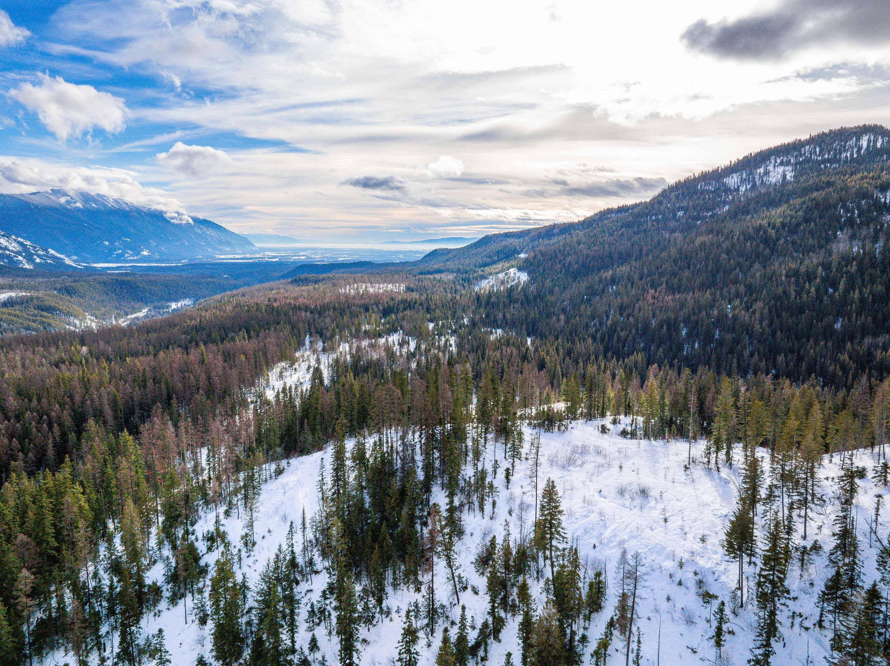NHN Kelly Mountain Road, Columbia Falls, Near Glacier National Park, Montana  - 5_-_Final-12_svhvsy