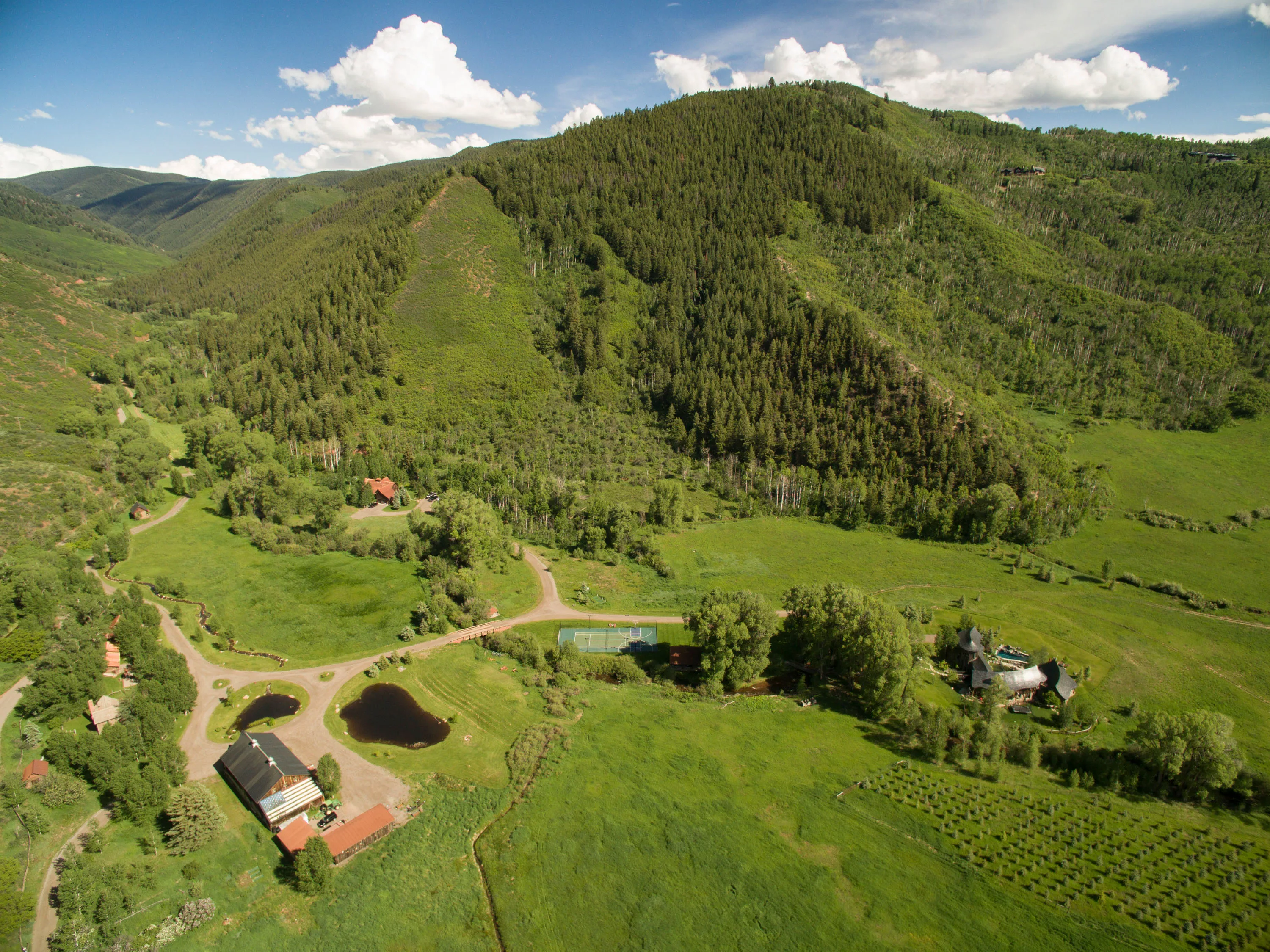 3448 Woody Creek Road, Aspen, Colorado 81656 - aspen_04_n7hz0d