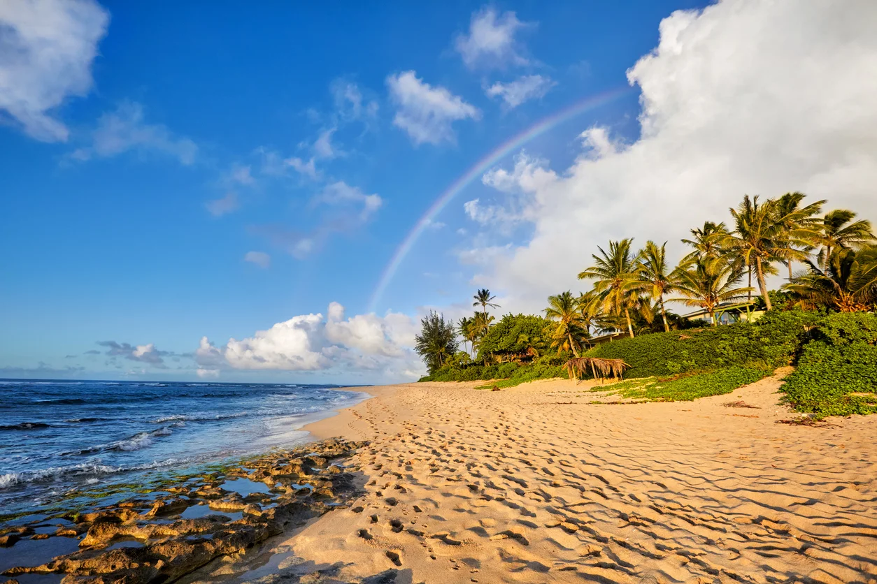 131 Farrington Highway, North Shore, Oahu, Hawaii 96791 - iStock-524376304_odqx4l