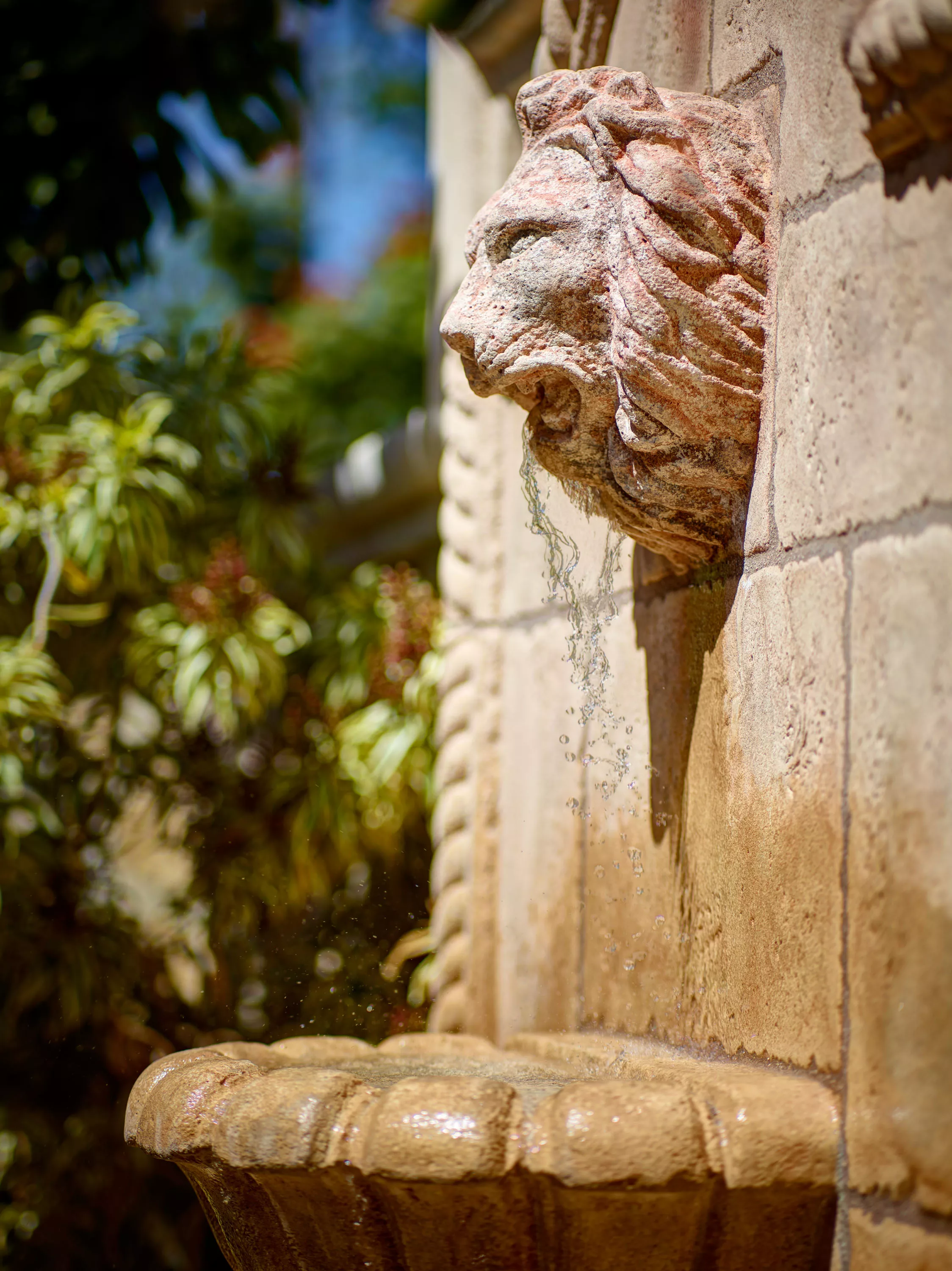 18127 Via Roswitha, Rancho Santa Fe, California 92067 - 18127-via-roswitha-rancho-santa-fe-ca-16-27-18-46-4646_yjqw7l