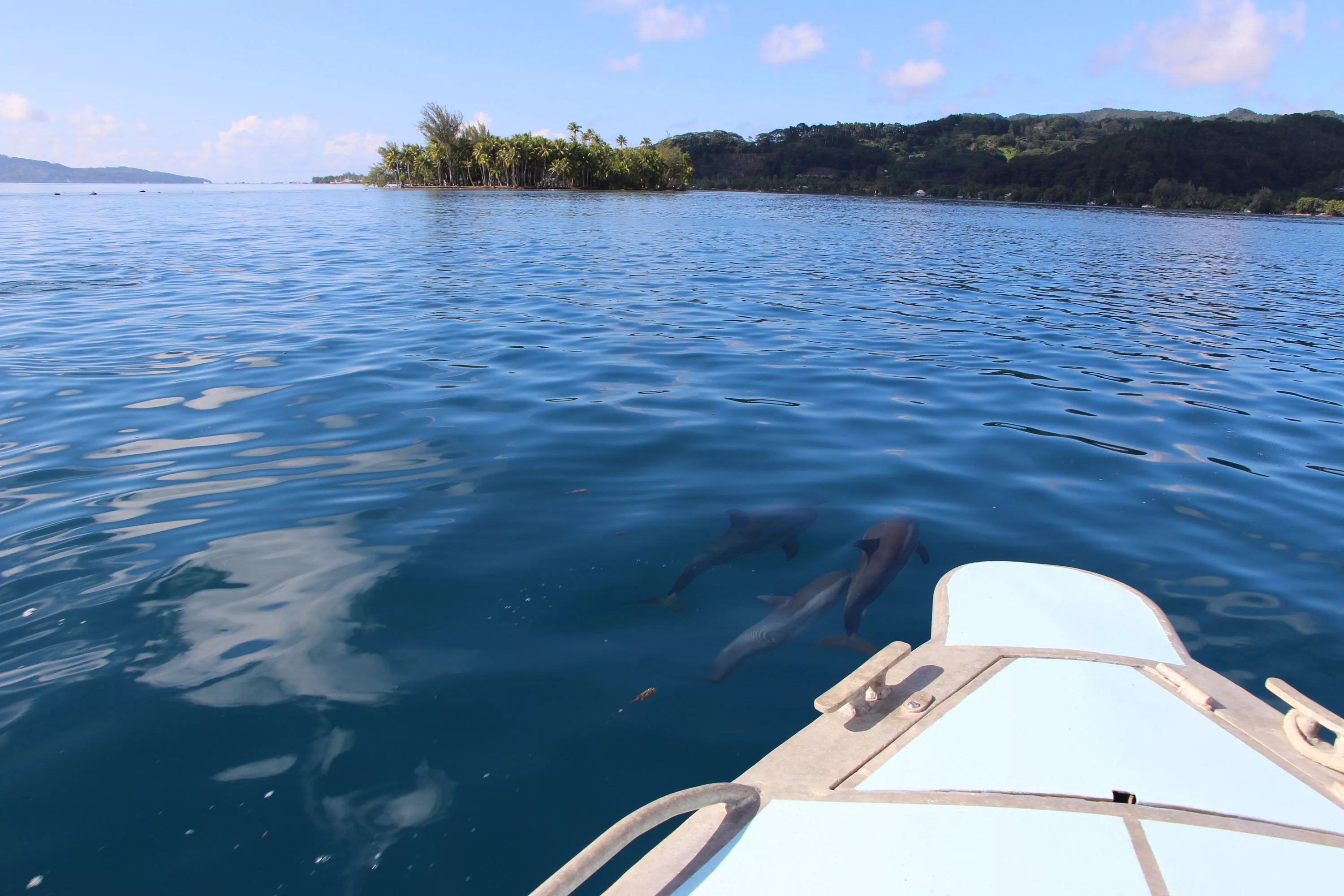Motu Tiano, Tahiti,  , French Polynesia - motu_tiano_french_polynesia_25_tqh4ew