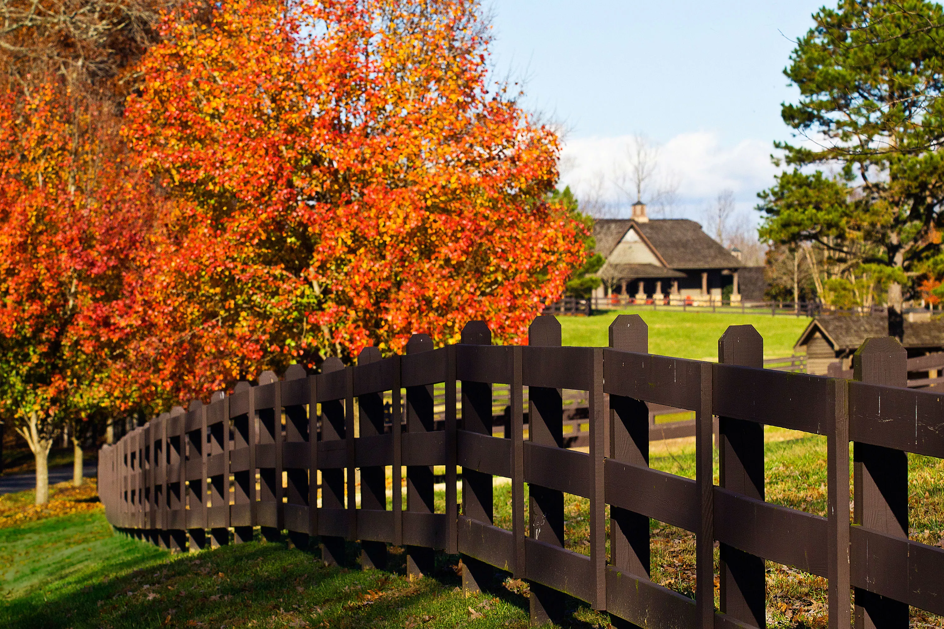 196 Old Stagecoach Lane, Statesville, North Carolina 28625 - img_7139-copy_fuuabi