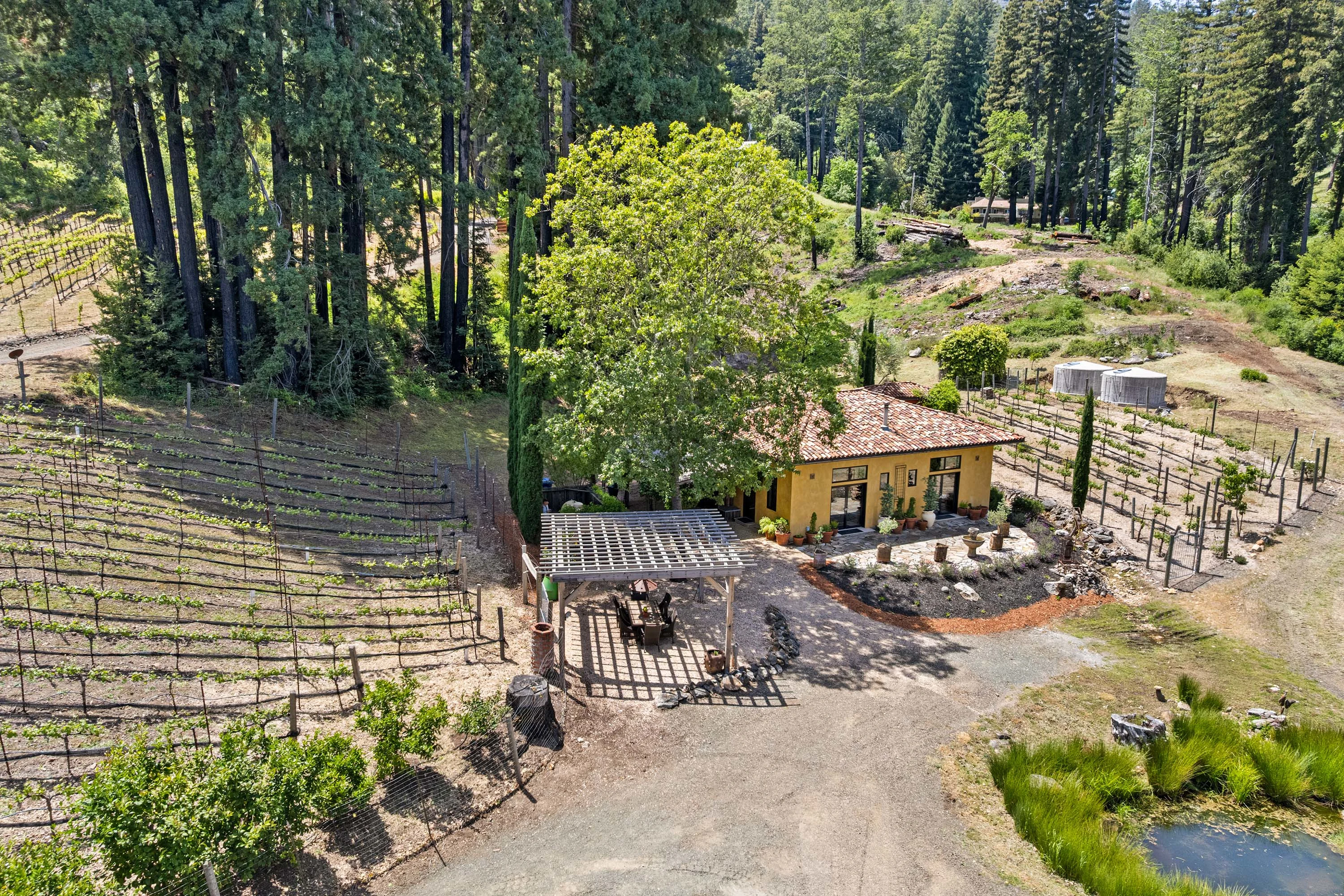 3390 Mount Veeder Road, Mount Veeder, Napa Valley, California 94558 - 40_Mount_Veeder_t6gm5m
