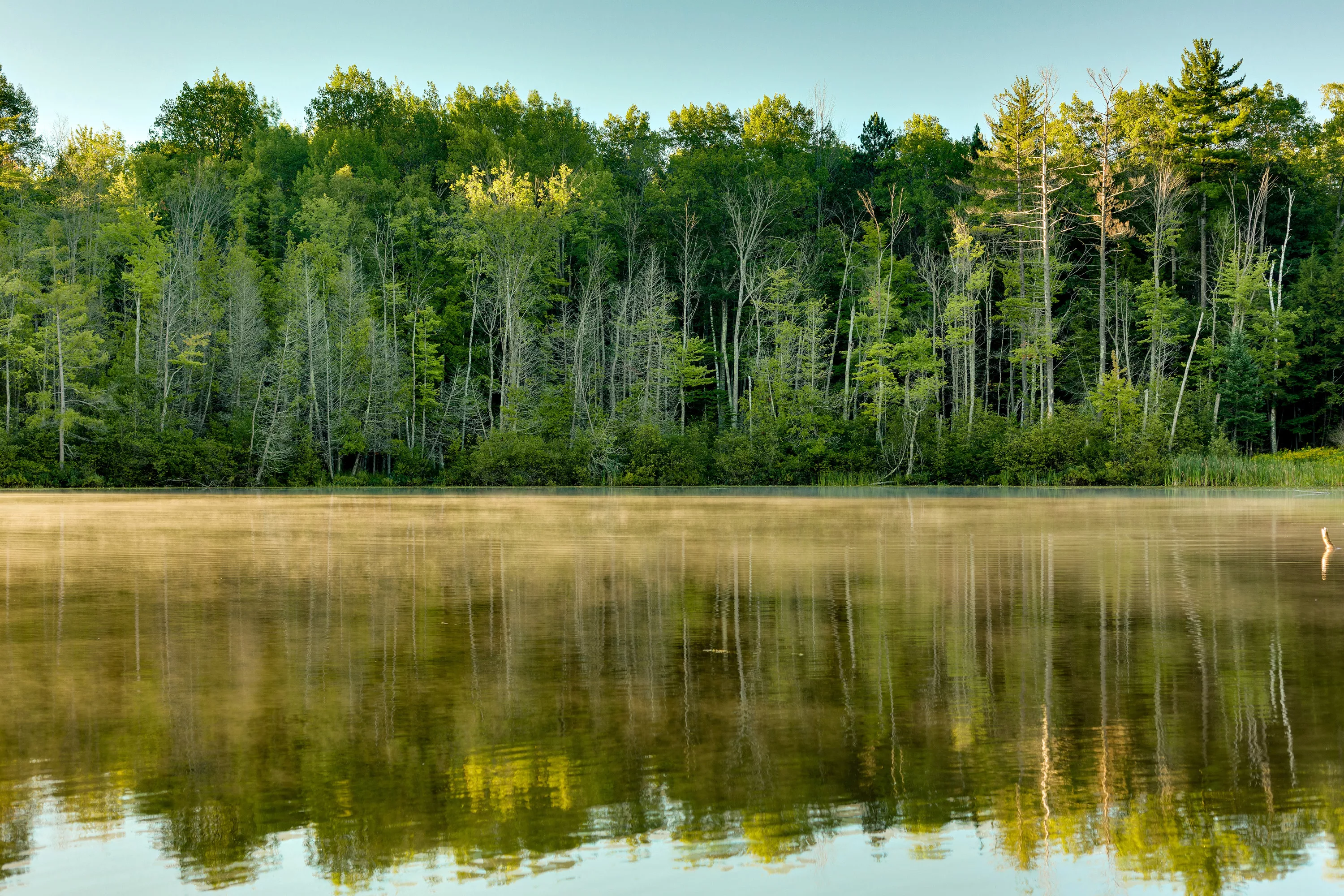 2665 Short Road, Lupton, Michigan 48635 - valhalla-lodge-northern-michigan-luxury-real-estate-38_chwovr