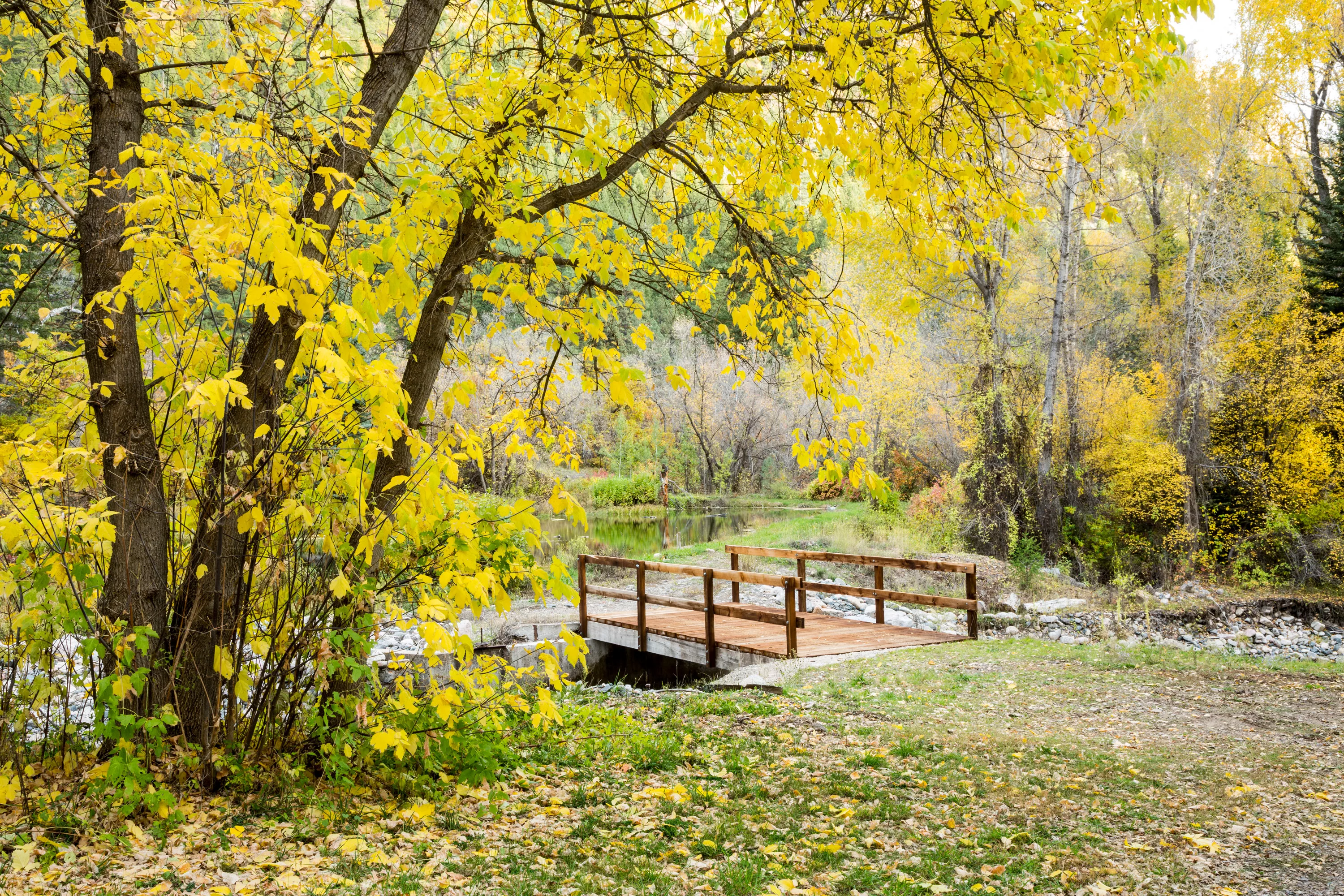 398 County Road 136, Aspen Area, Colorado 81601 - Inyanga_Ranch_Glenwood_Springs_CO_13_xsn00y