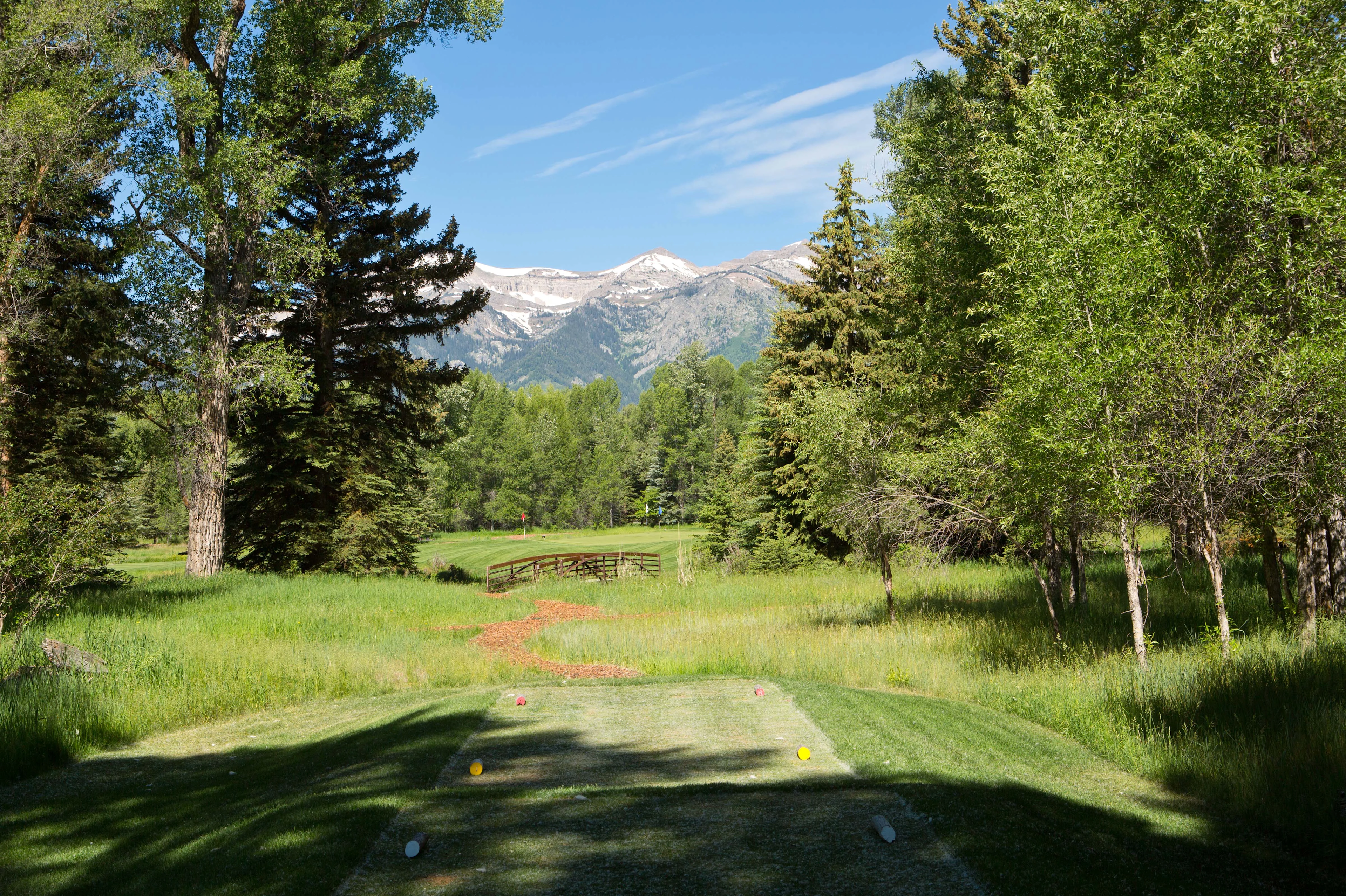 5300 North Prince Place, Jackson Hole, Wyoming 83001 - 5300-prince-place-jackson-hole-wyoming40_ti0wzq