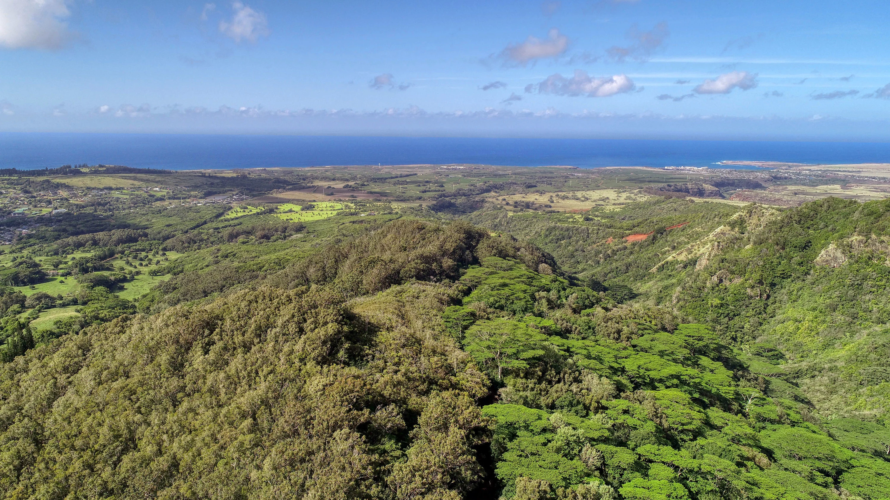 2-2131-Z Kaumualii Highway, Kalaheo, Kauai, Hawaii 96741 - 2-2131-z-kaumualii-highway-kalaheo-hawaii05_qash0z