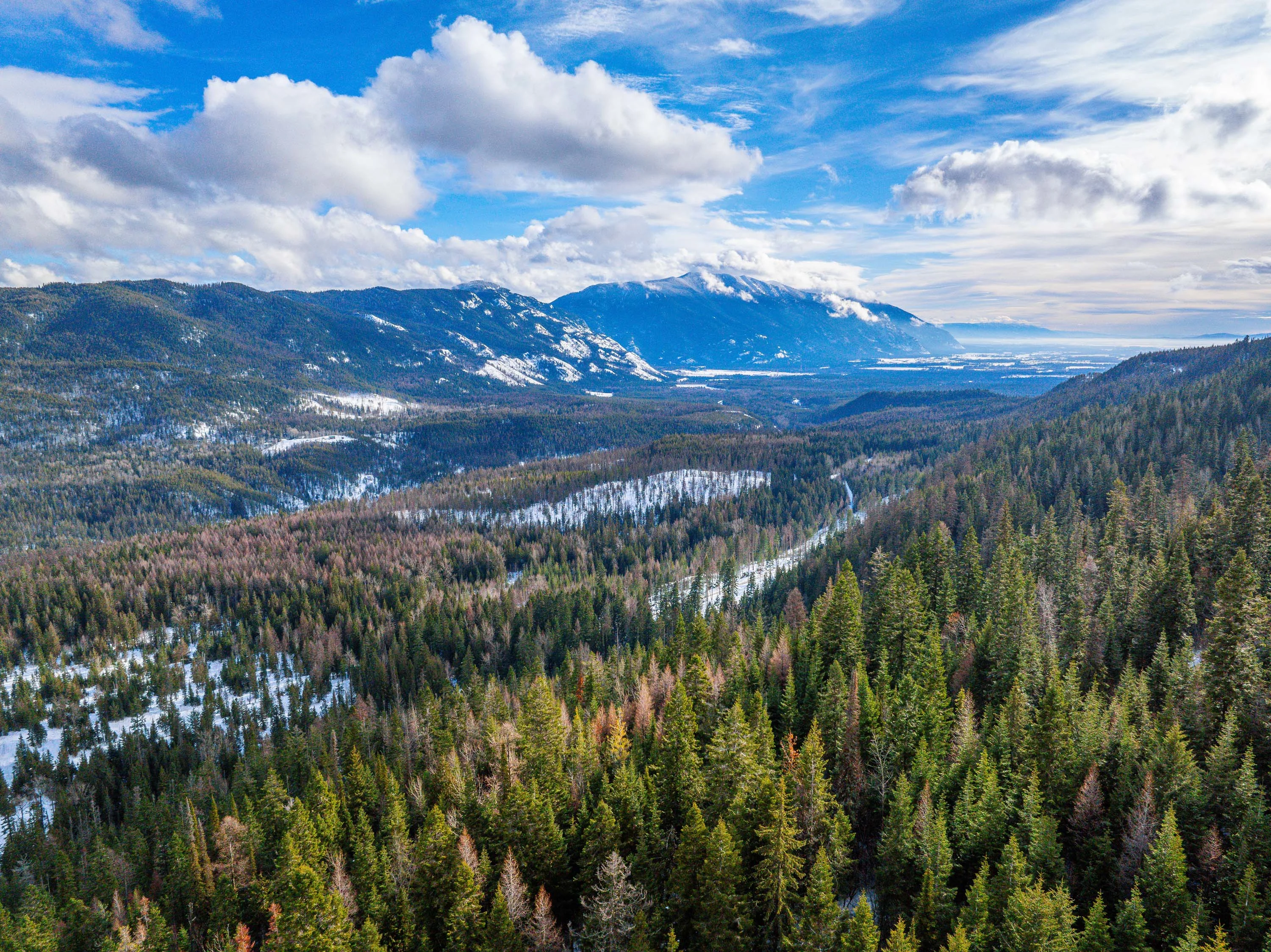 NHN Kelly Mountain Road, Columbia Falls, Near Glacier National Park, Montana  - 4_-_Final-6_tl6c4t