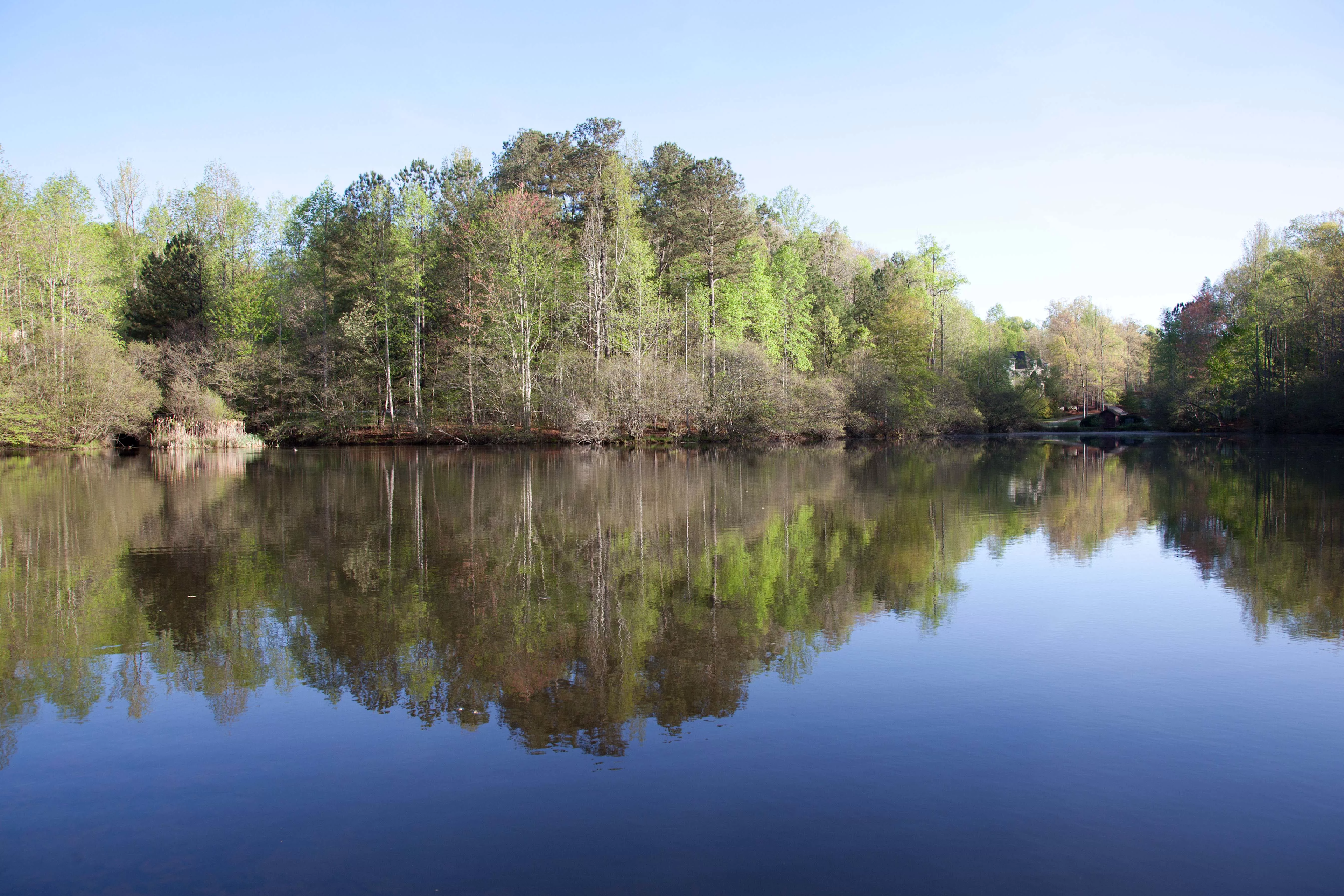 9110 Barkston Drive, Atlanta, Georgia 30022 - 9110-barkston-way-alpharetta-georgia21_goxkfx