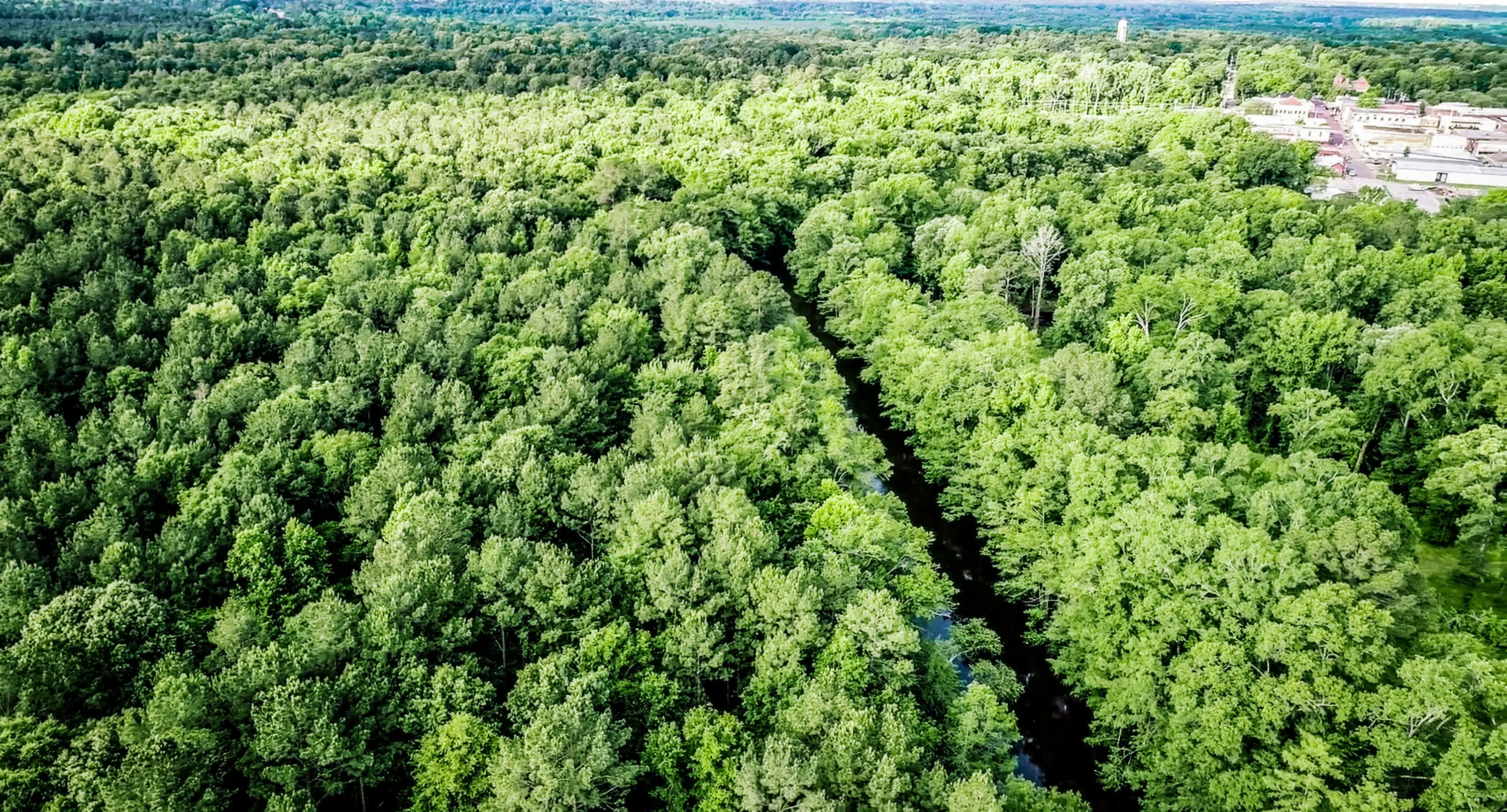 Nix Lower Bayou, East Texas, Texas 75657 - 601-fm-134-jefferson-texas02_a4qfpi