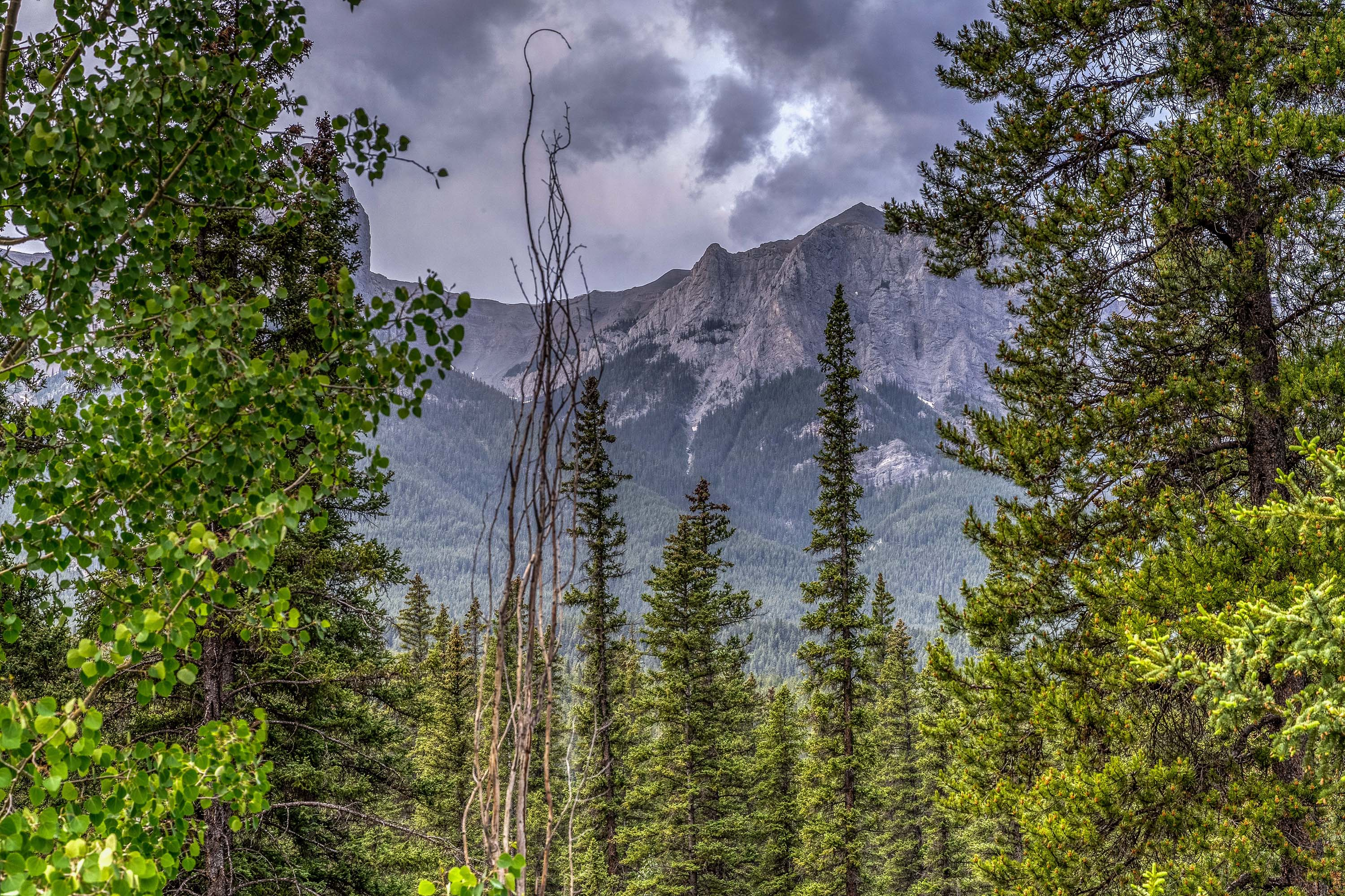 51 5 Woodside Lane, Canmore, Alberta T1W 1T1 - Luxury Real Estate - Concierge Auctions