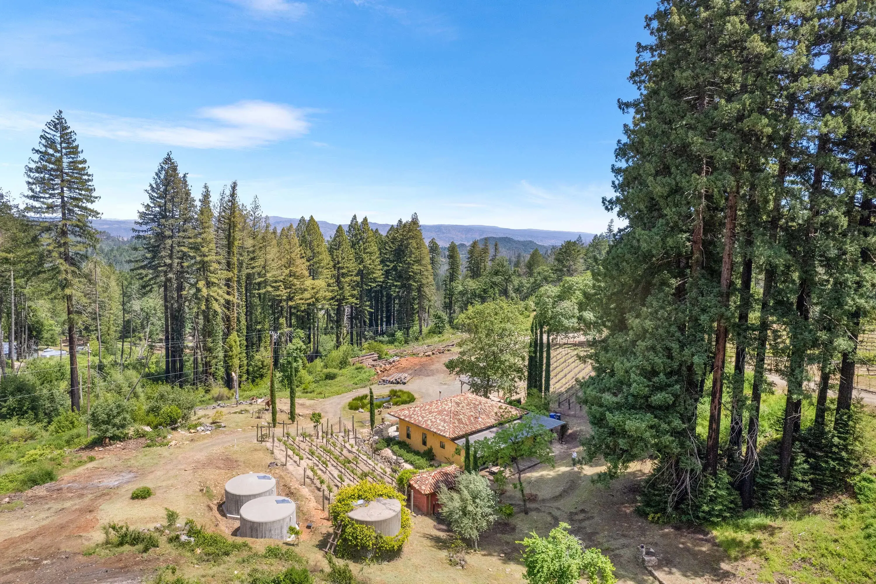 3390 Mount Veeder Road, Mount Veeder, Napa Valley, California 94558 - 03_Mount_Veeder_fd9hde