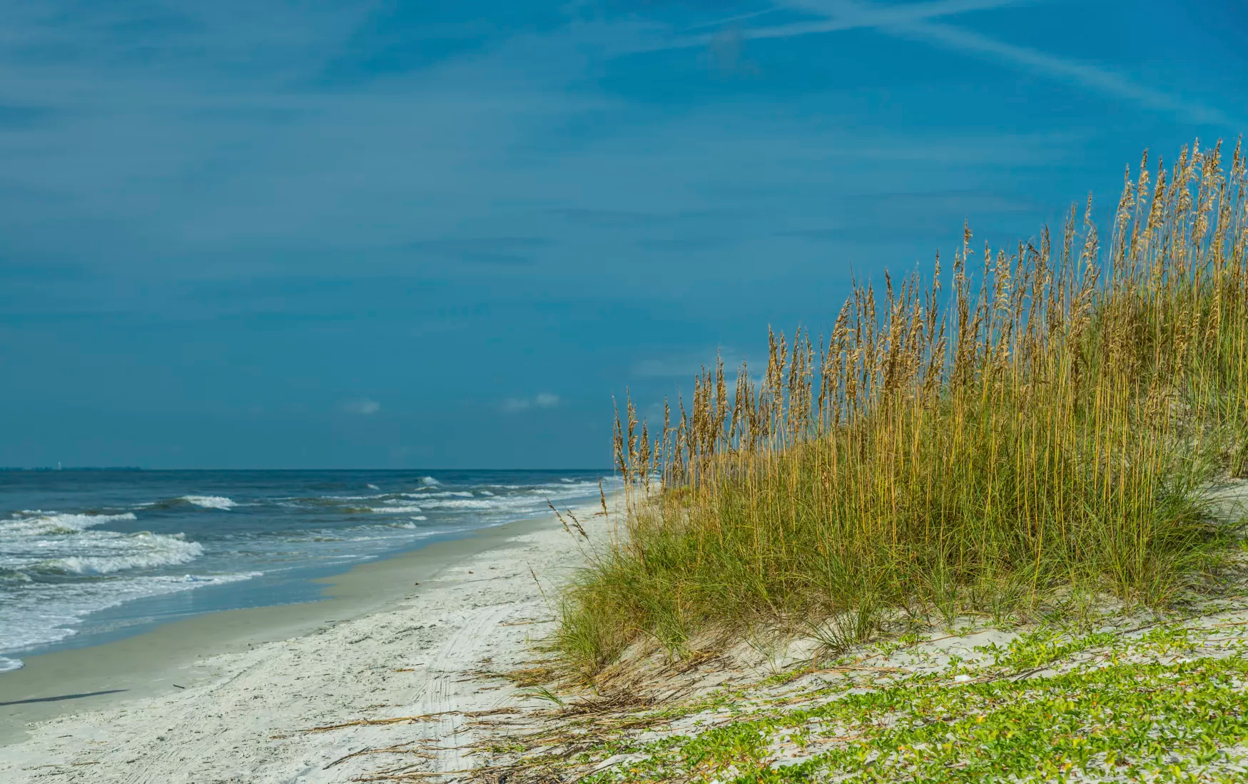 12 Front Light Walk, Daufuskie Island, South Carolina 29915 - iStock-000053899784-Medium-08-19-57-5757_qesup8