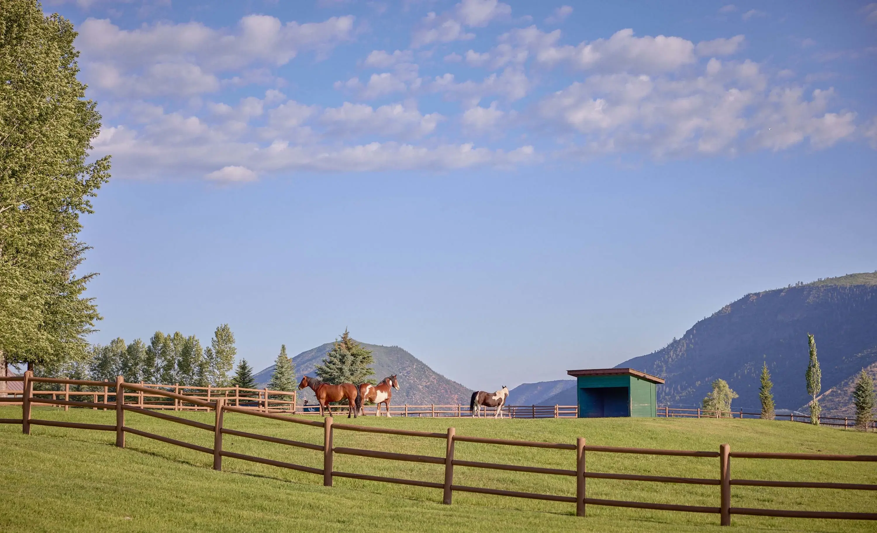 Moonshoot Ranch | 910 White Star Drive, Aspen, Colorado 81611 - 42_Moonshot_Ranch_910_White_Star_Drive_Aspen_CO_81611_okebfp